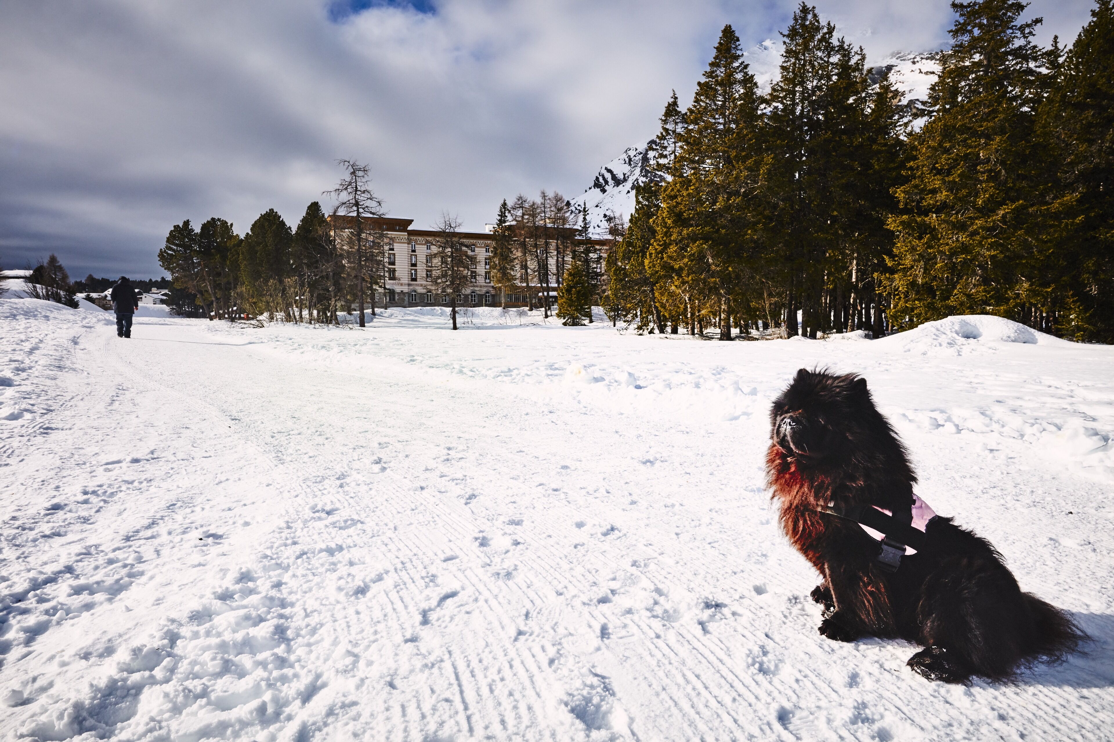 A snowy outdoor area with a building in the background.