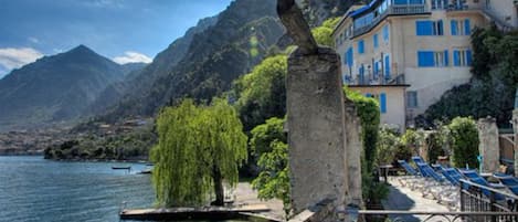 Vista desde la propiedad