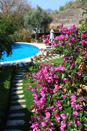 Garden - Sandima 37 Suites Hotel (Bodrum)