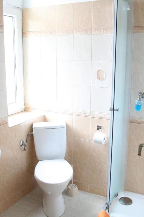 A bathroom with a toilet, a glass shower enclosure, and a window providing natural light. - Hotel Klára (Prague)