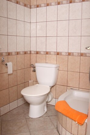 Regadera, amenidades de baño gratuitas, secadora de cabello, toallas