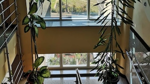 A room with a large window offering a view of buildings and greenery outside. There are potted plants on the windowsill. - Elegance Hotel (Belgrade)