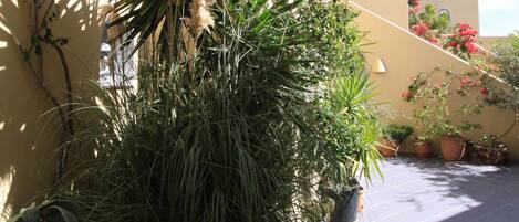 مدخل المنشأة
