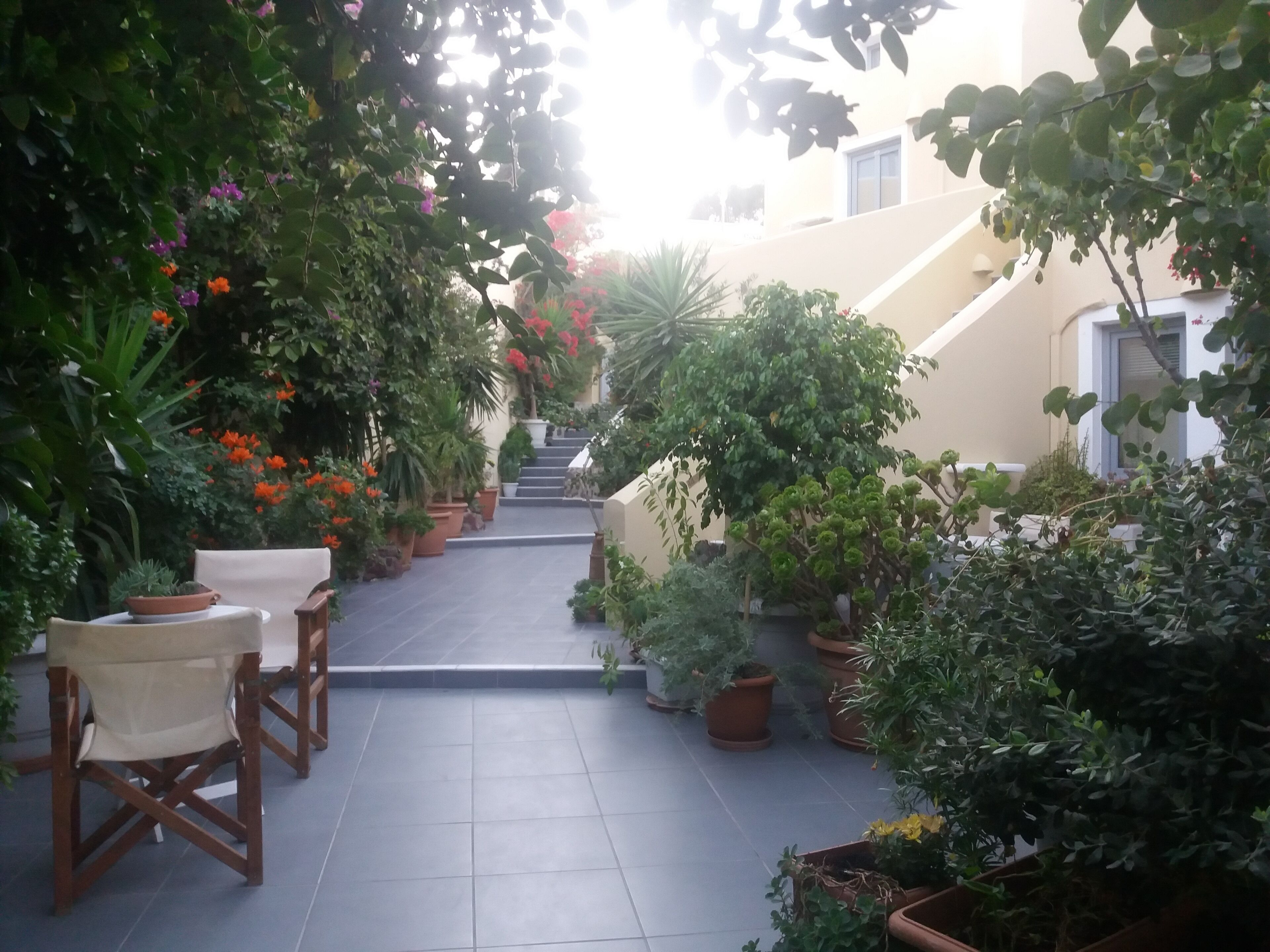 A sunlit courtyard with potted plants, a chair, and a staircase leading to a building.