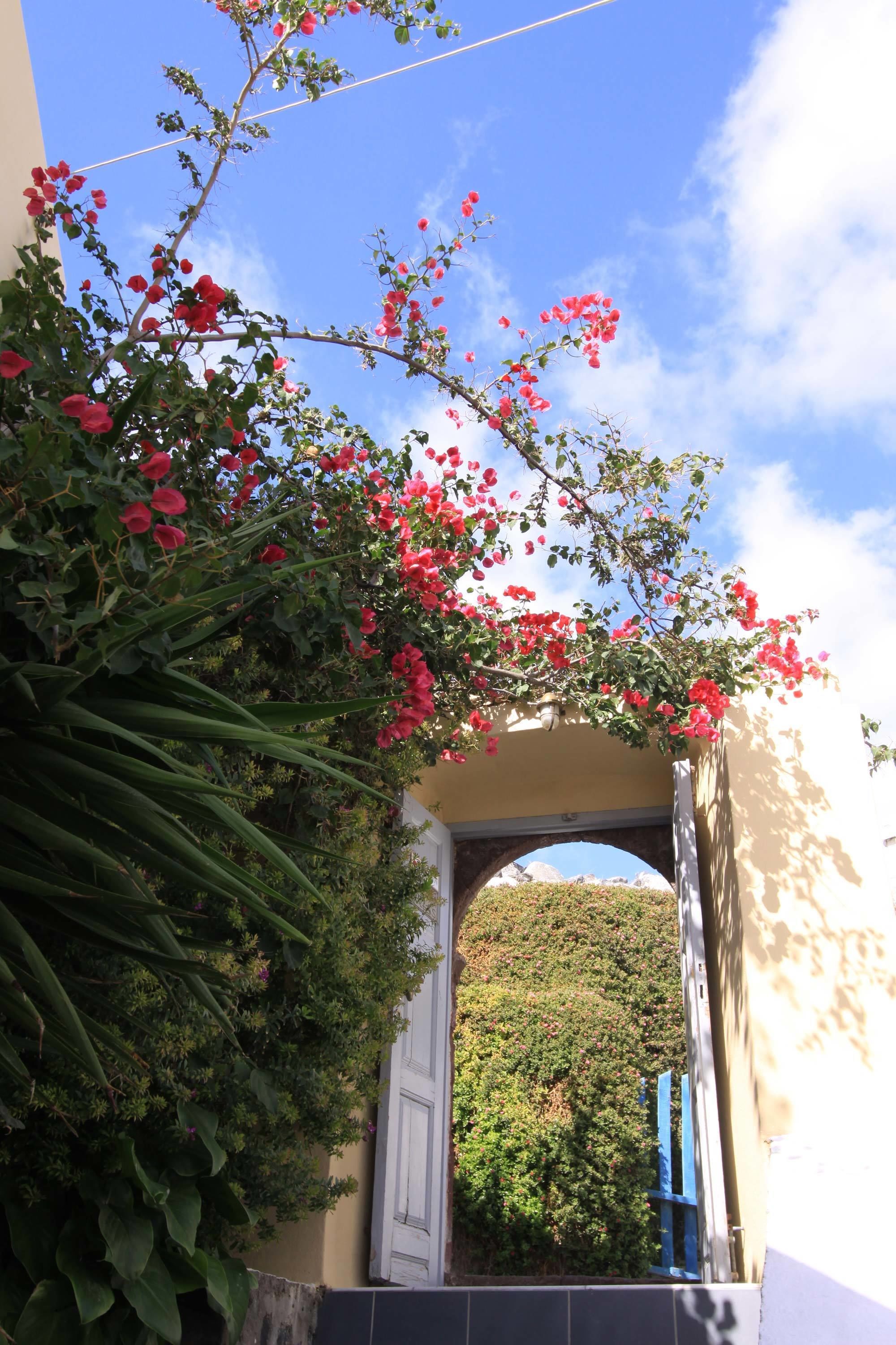Une porte donnant sur une colline.
