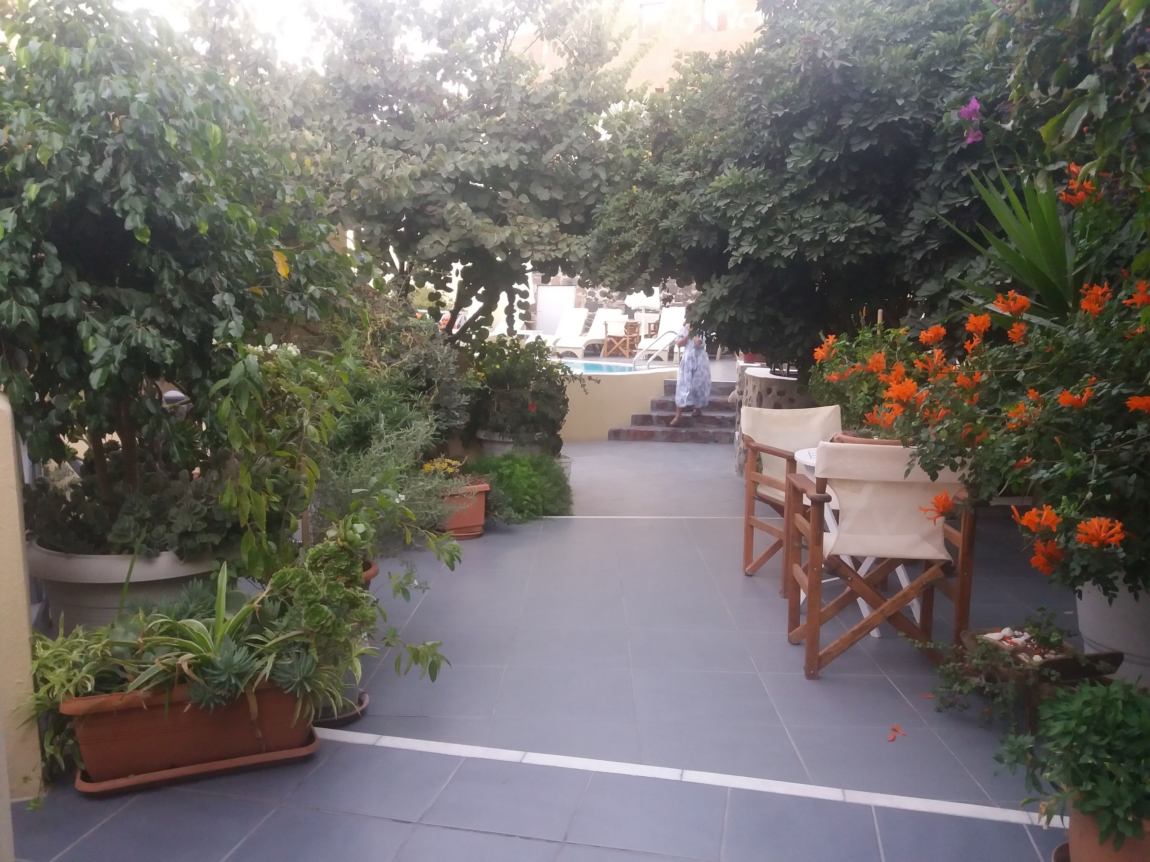 Een tuin met plantenpotten, een zwembad en terrasmeubels.