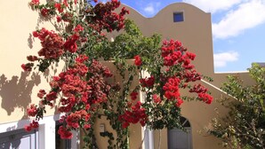 Un patio con un edificio, una planta en maceta y un árbol con flores rojas.