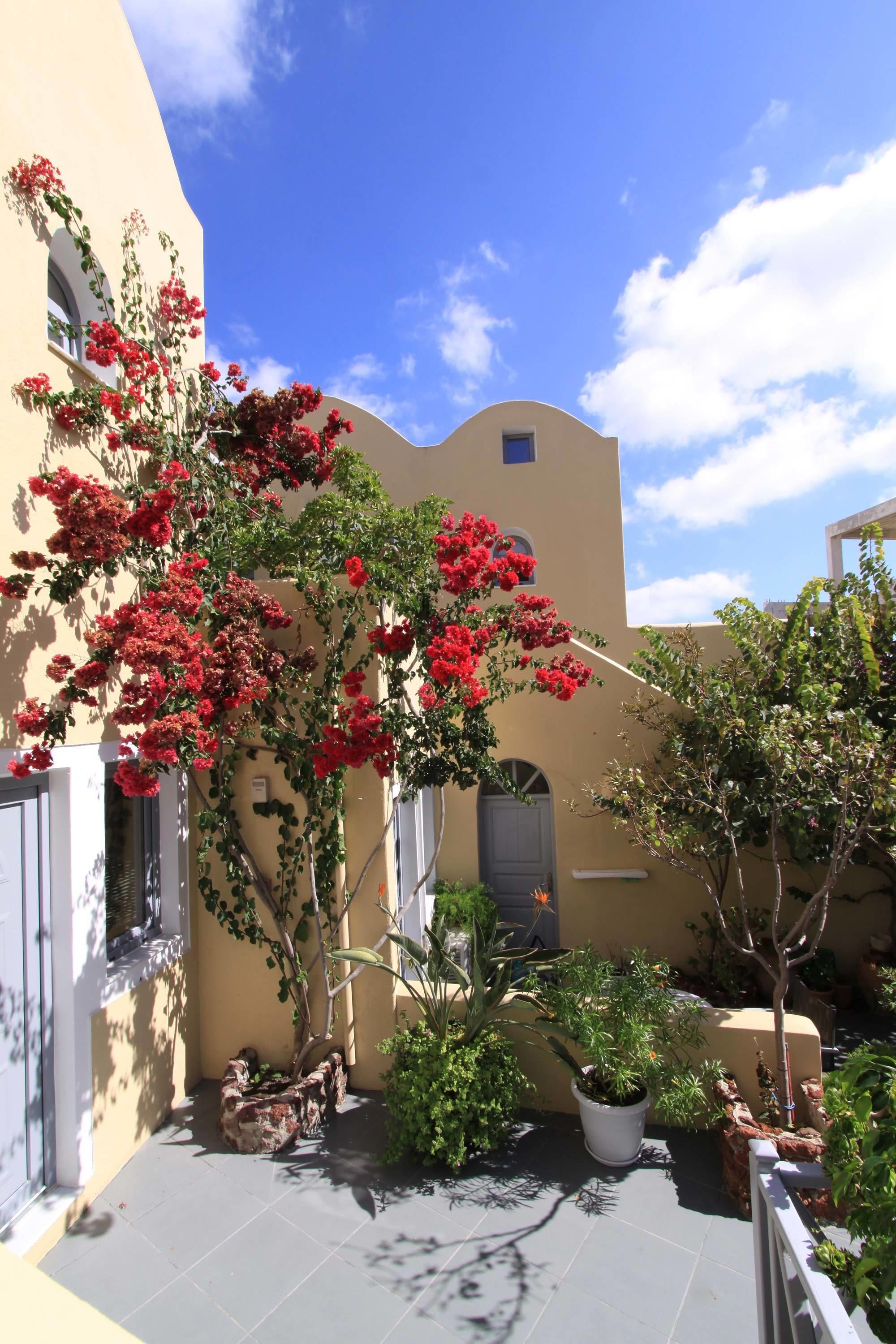 Un patio con plantas en macetas y un edificio de fachada curva.