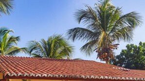 Uma casa com telhado de cerâmica, rede e palmeira.