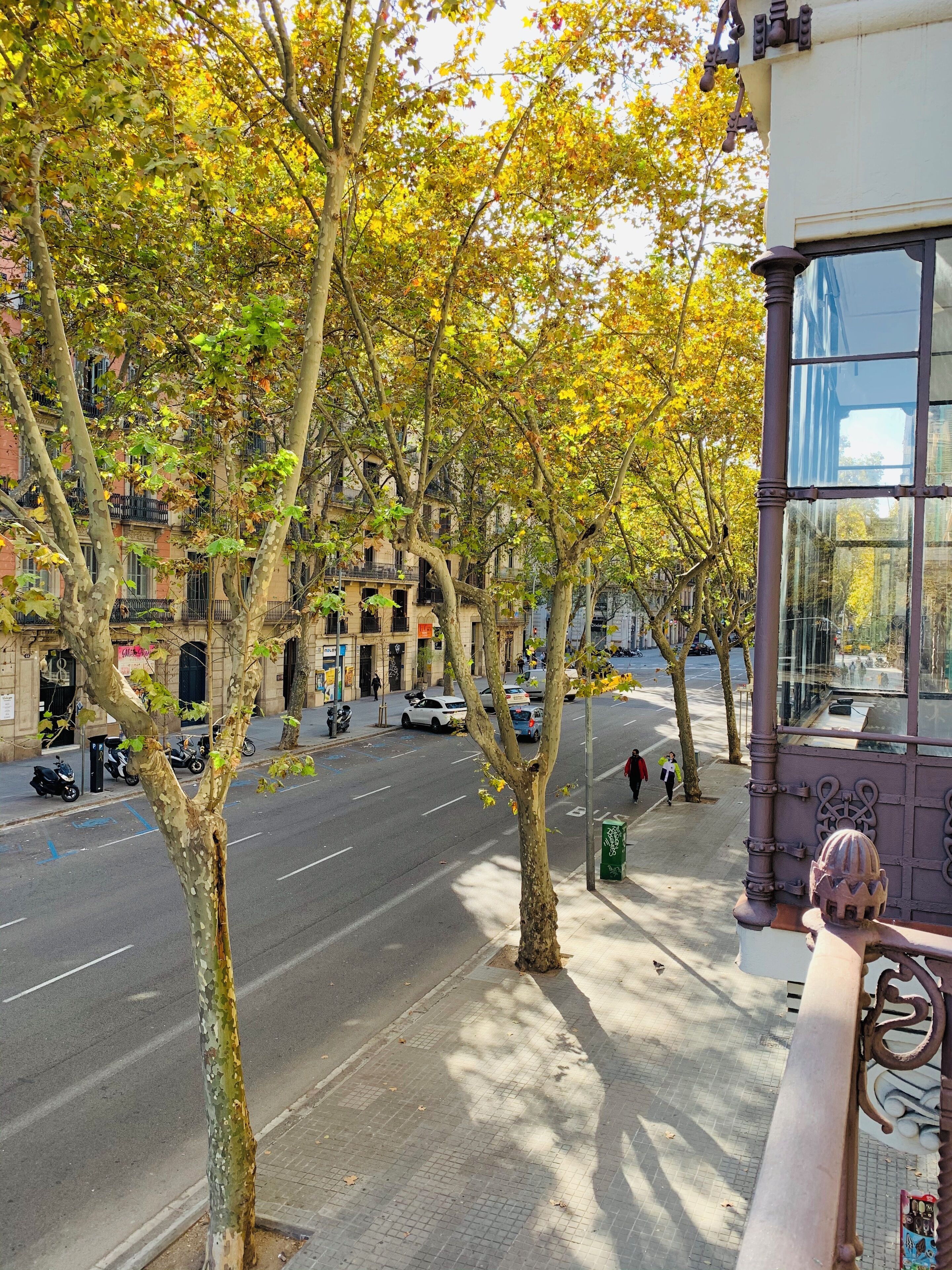 Photo - Hip Karma Hostel