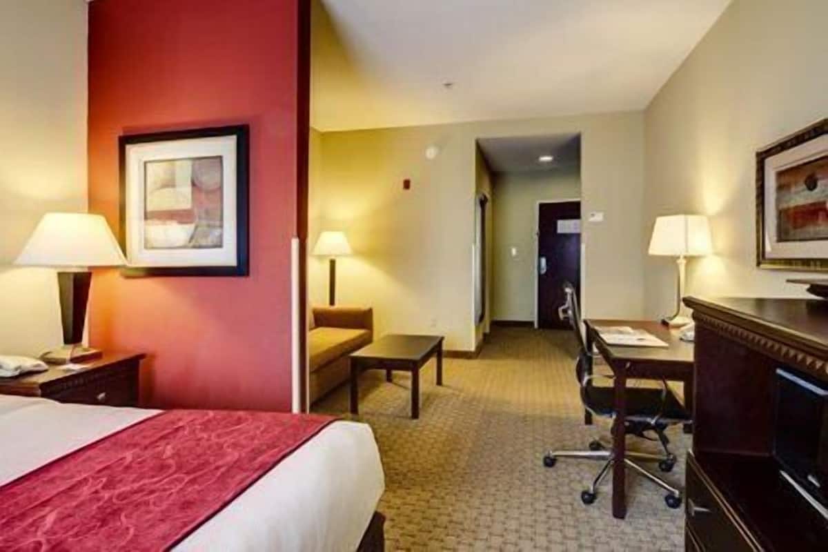 Suite, 1 cama King size y sofá cama, para no fumadores | Camas con pillow-top, escritorio y espacio para trabajar con laptop