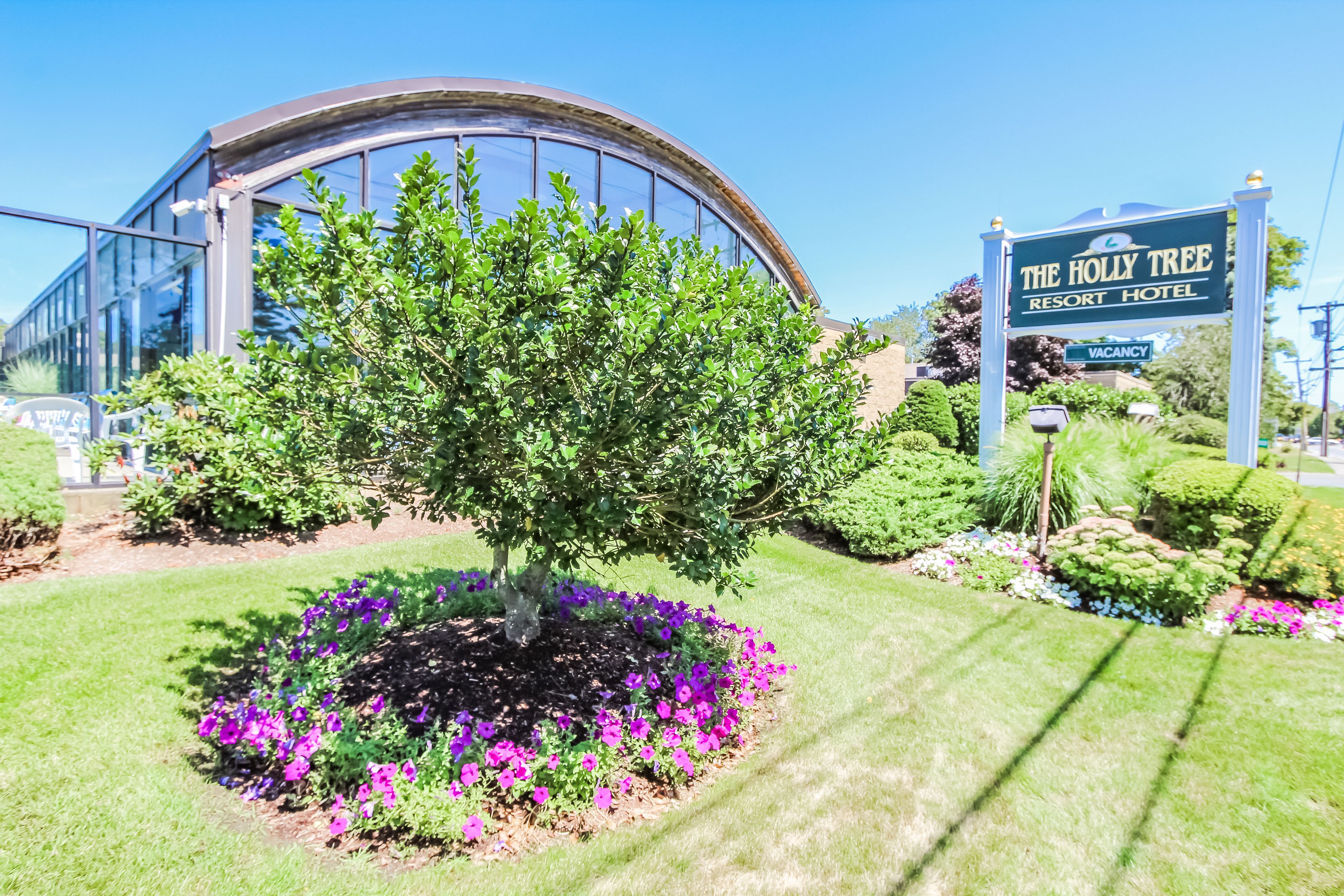 Un bâtiment moderne à la façade incurvée en verre, une enseigne indiquant « The Holly Tree Resort Hotel », et un jardin bien entretenu avec des fleurs violettes et un grand arbre.