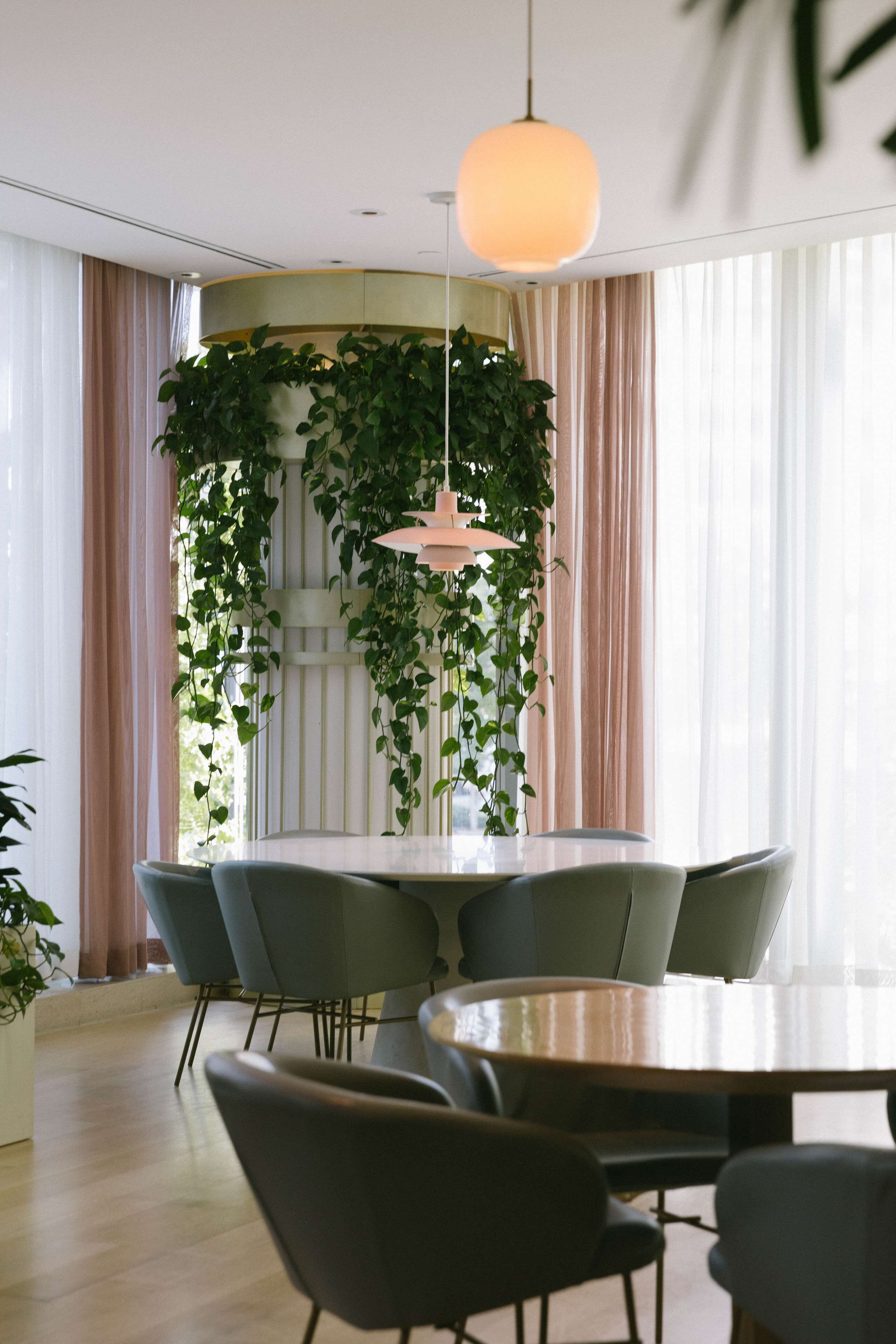Un comedor moderno con una mesa redonda, seis sillas y una planta colgante.