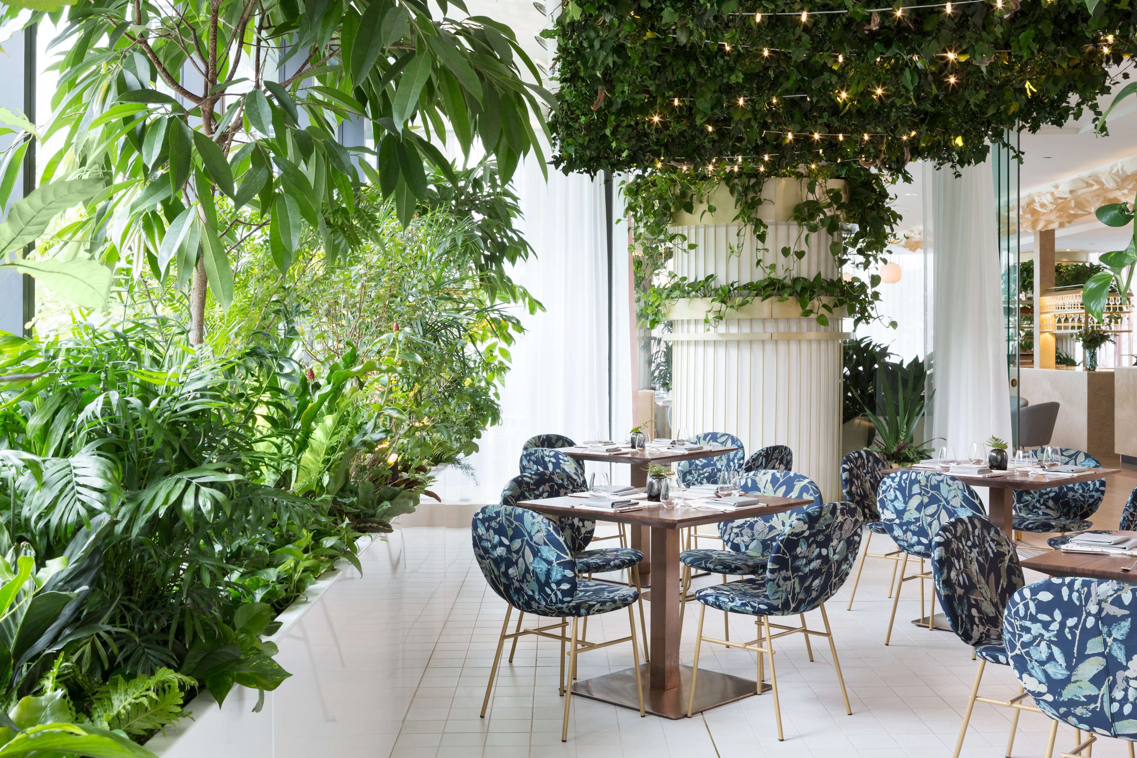 A restaurant with a modern interior, featuring a dining area with round tables and blue floral chairs, surrounded by lush green plants and natural light.