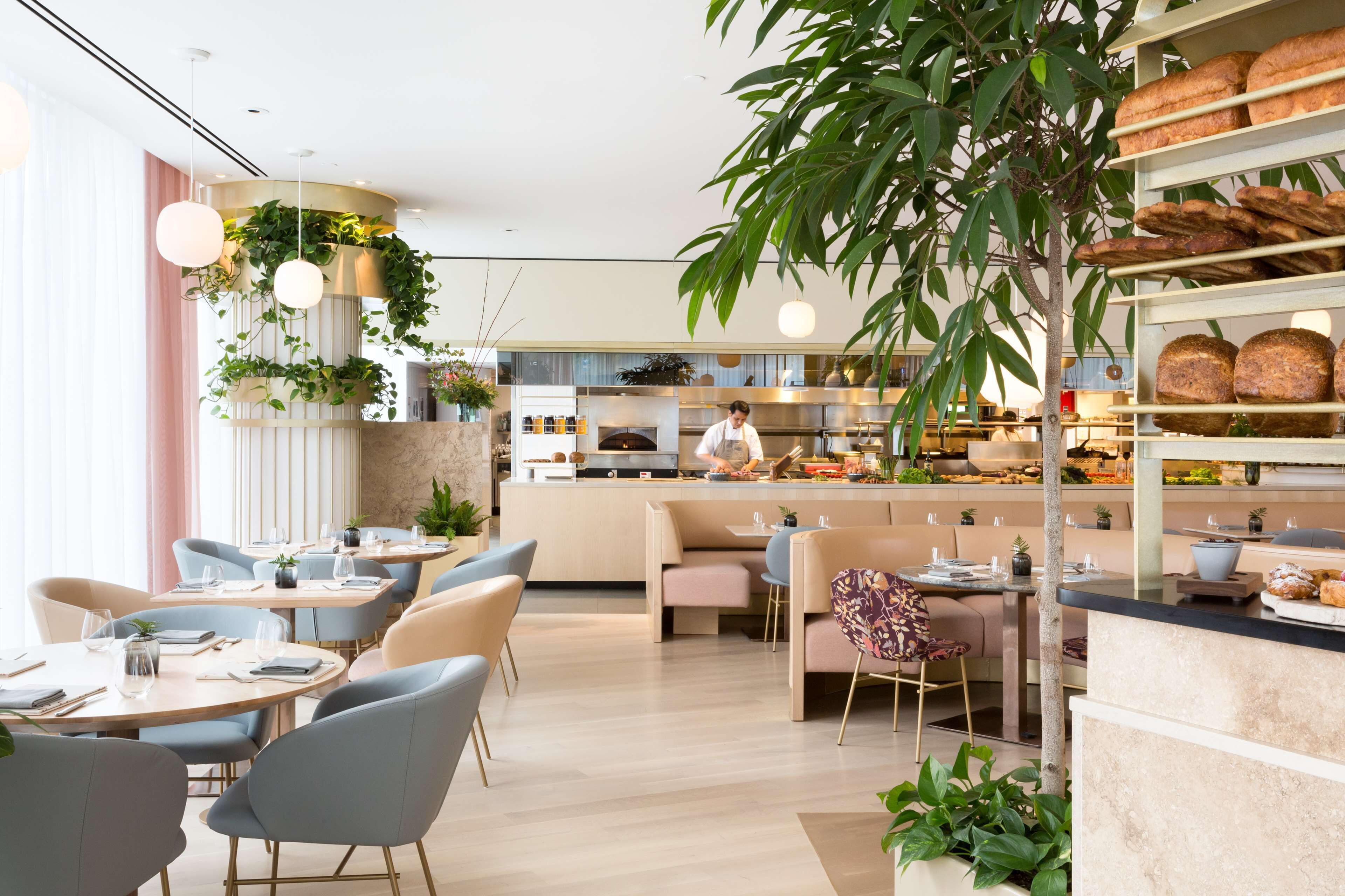 Un restaurante moderno con cocina central, zonas de estar y diversas plantas.