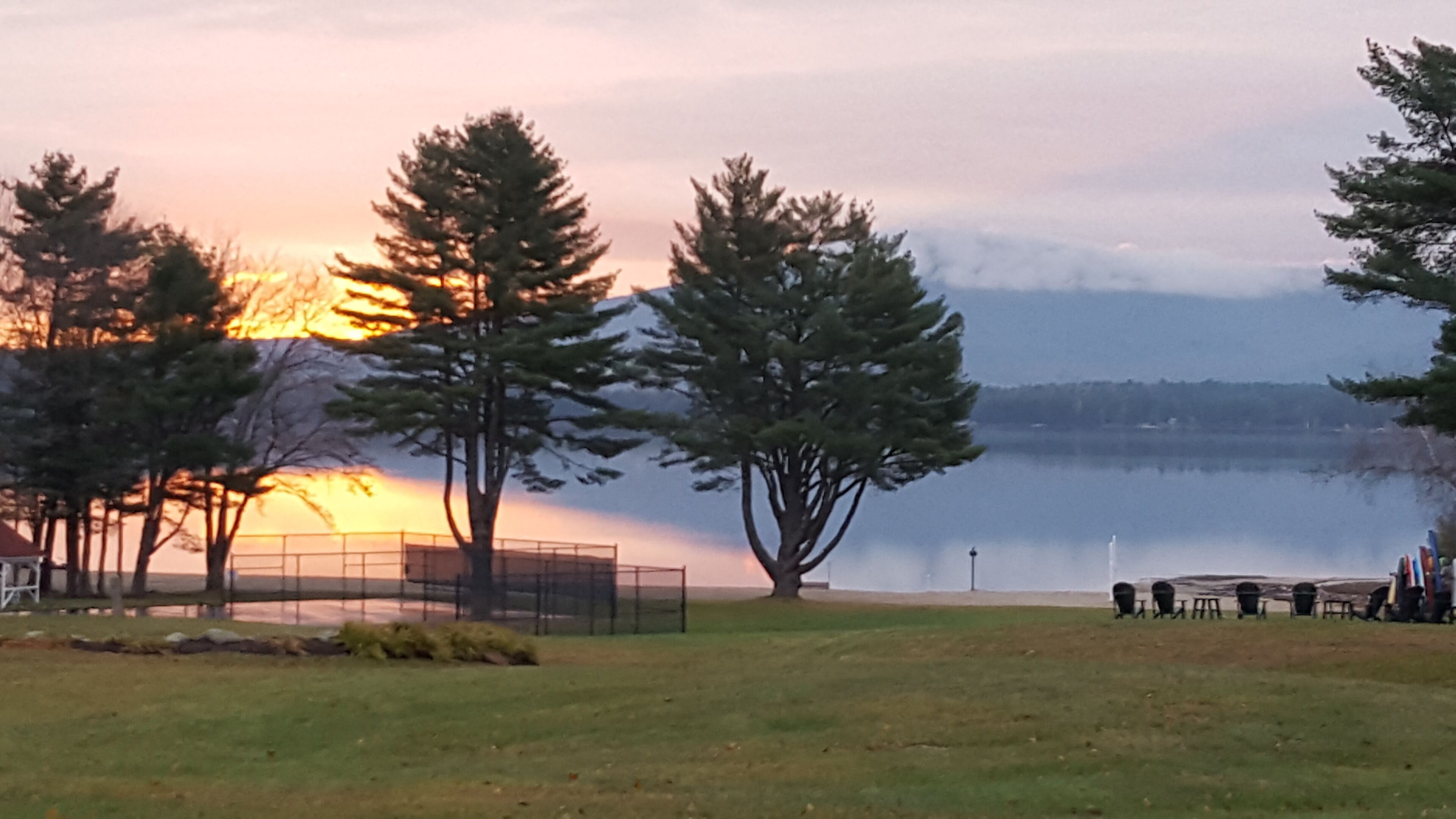 A park with a lake, trees, and a sunset.