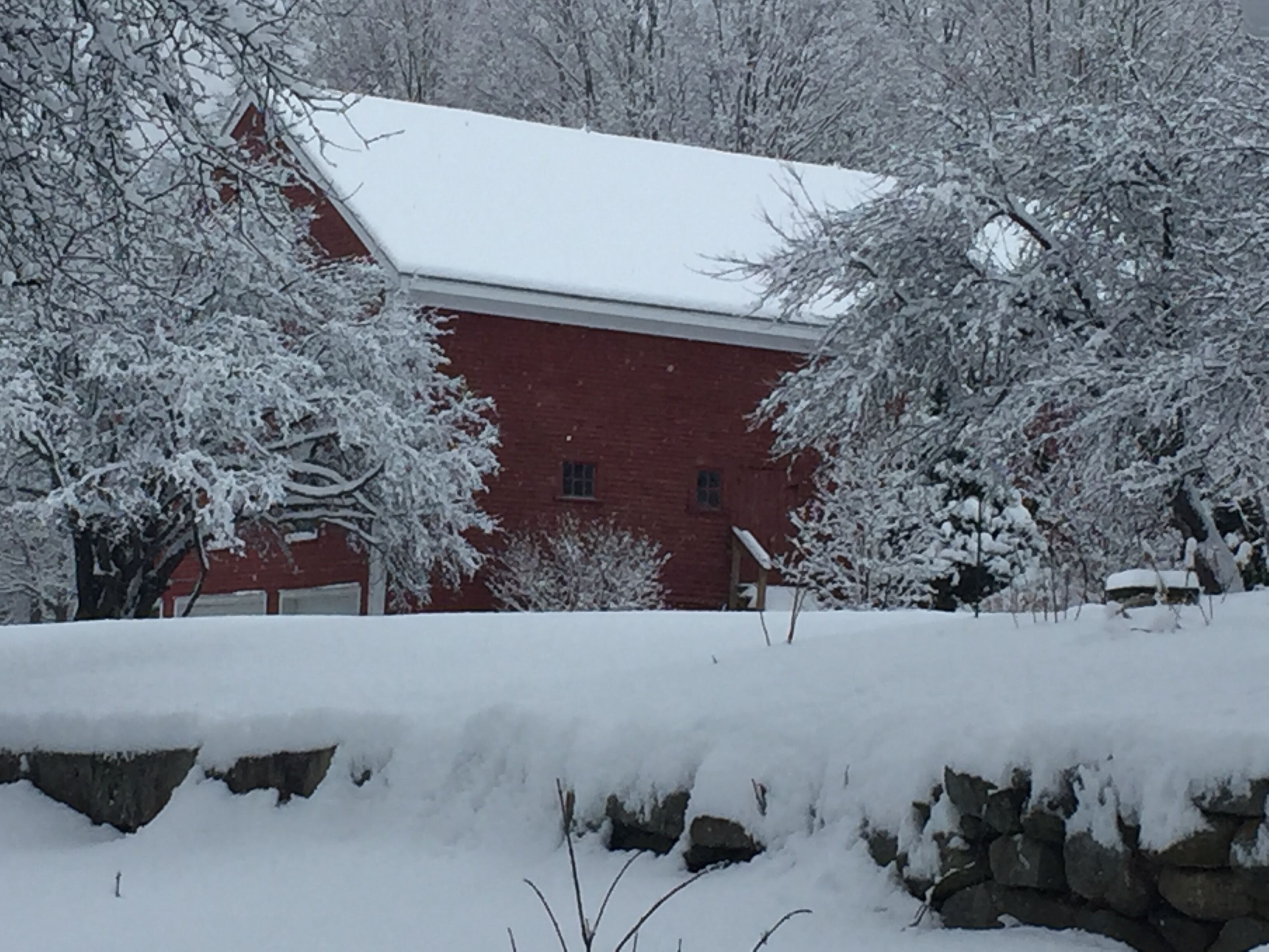 A red brick building with a snow-covered roof and surrounding trees.