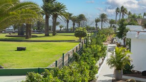 Un giardino curato con palme e un sentiero che conduce a un edificio.
