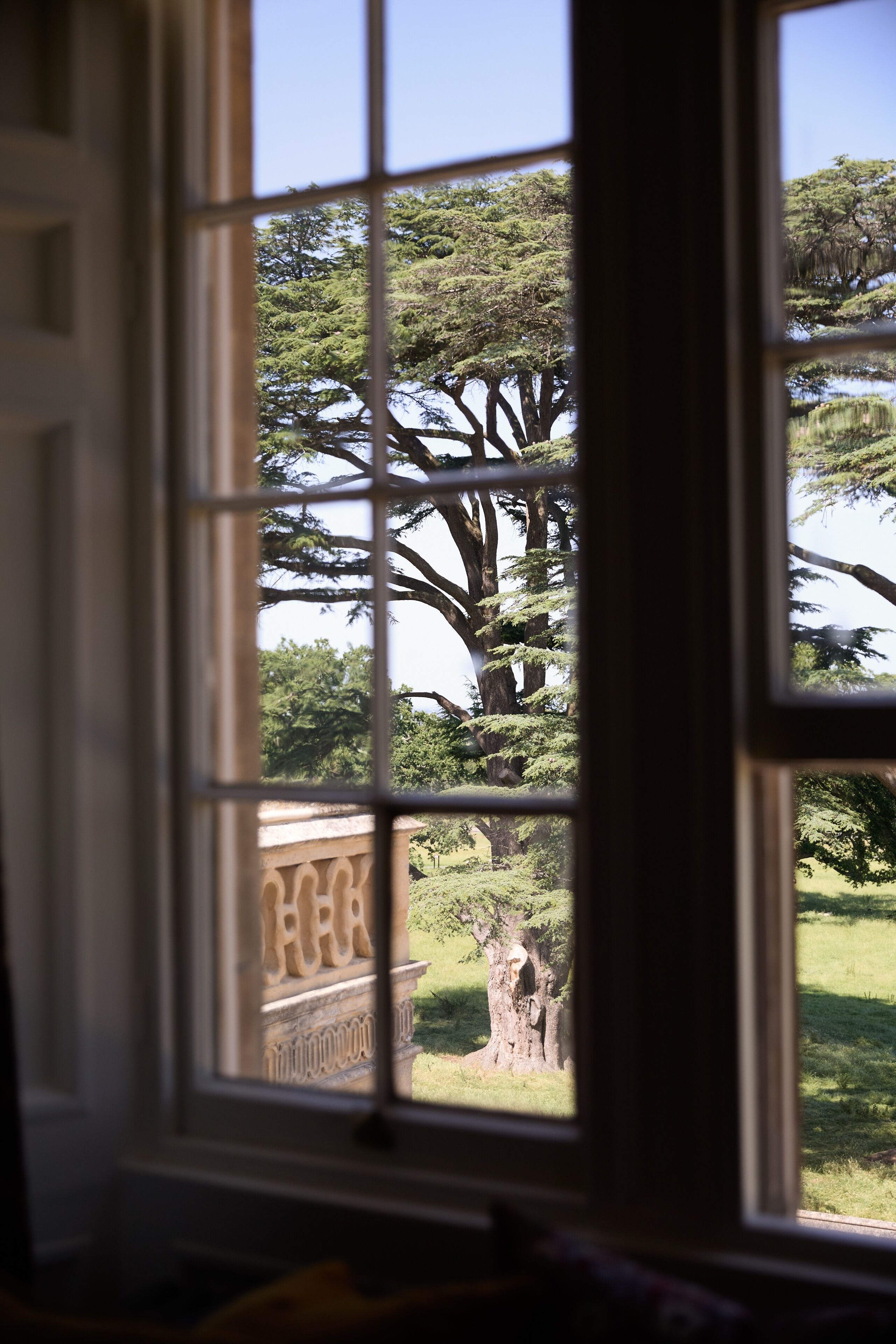 Una ventana con vista a un árbol y un edificio.