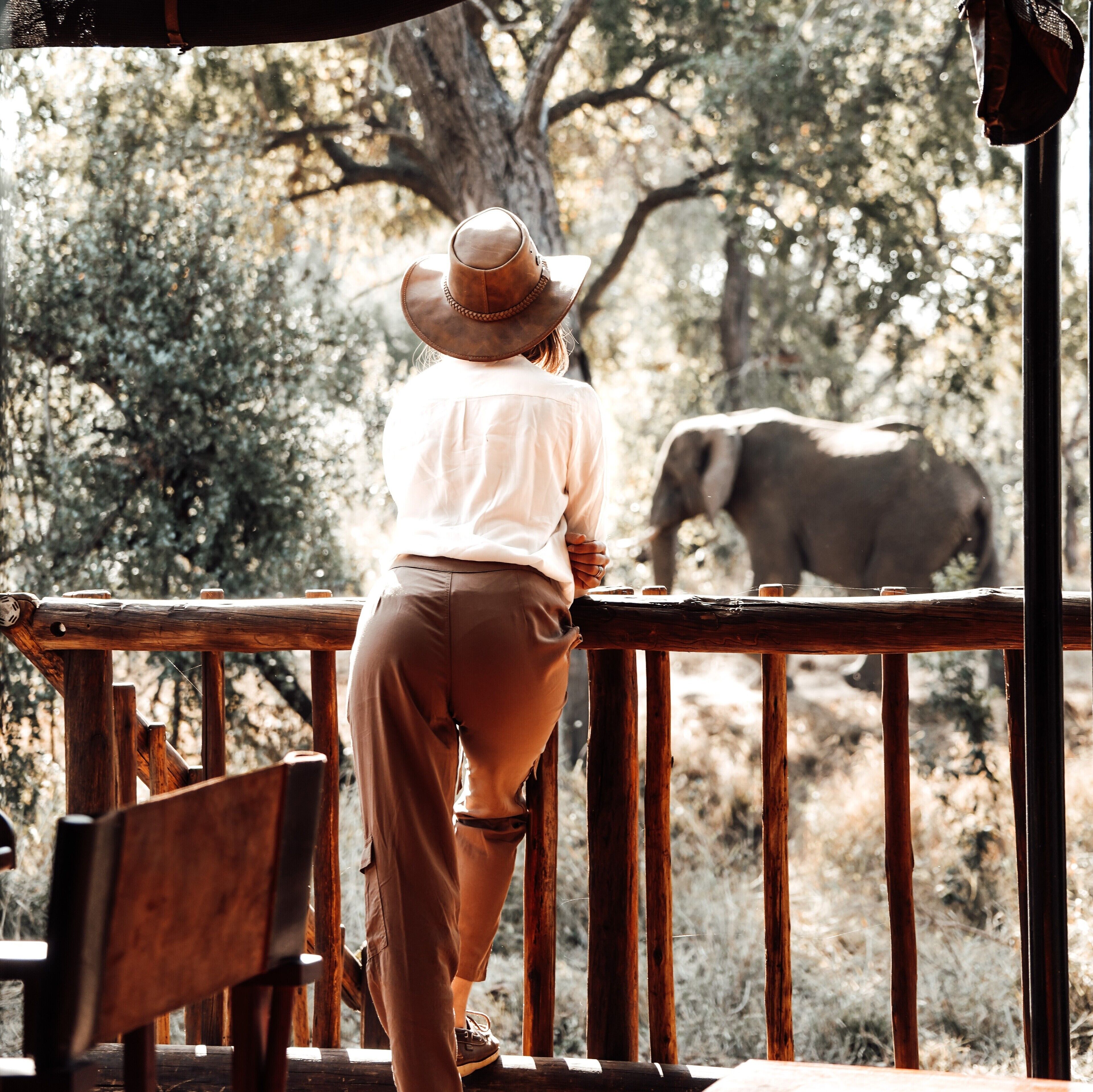 Uma pessoa apoiada em um corrimão de madeira, observando uma paisagem natural com árvores e um elefante ao fundo.
