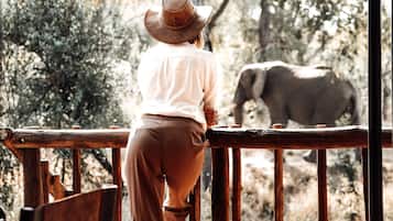 Uma pessoa apoiada em um corrimão de madeira, observando uma paisagem natural com árvores e um elefante ao fundo.