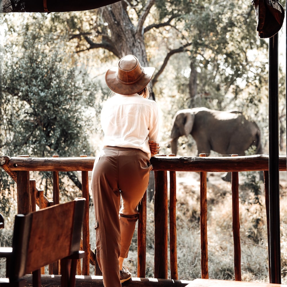 Honeyguide Tented Safari Camps by null Honeyguide Tented Safari Camps by null