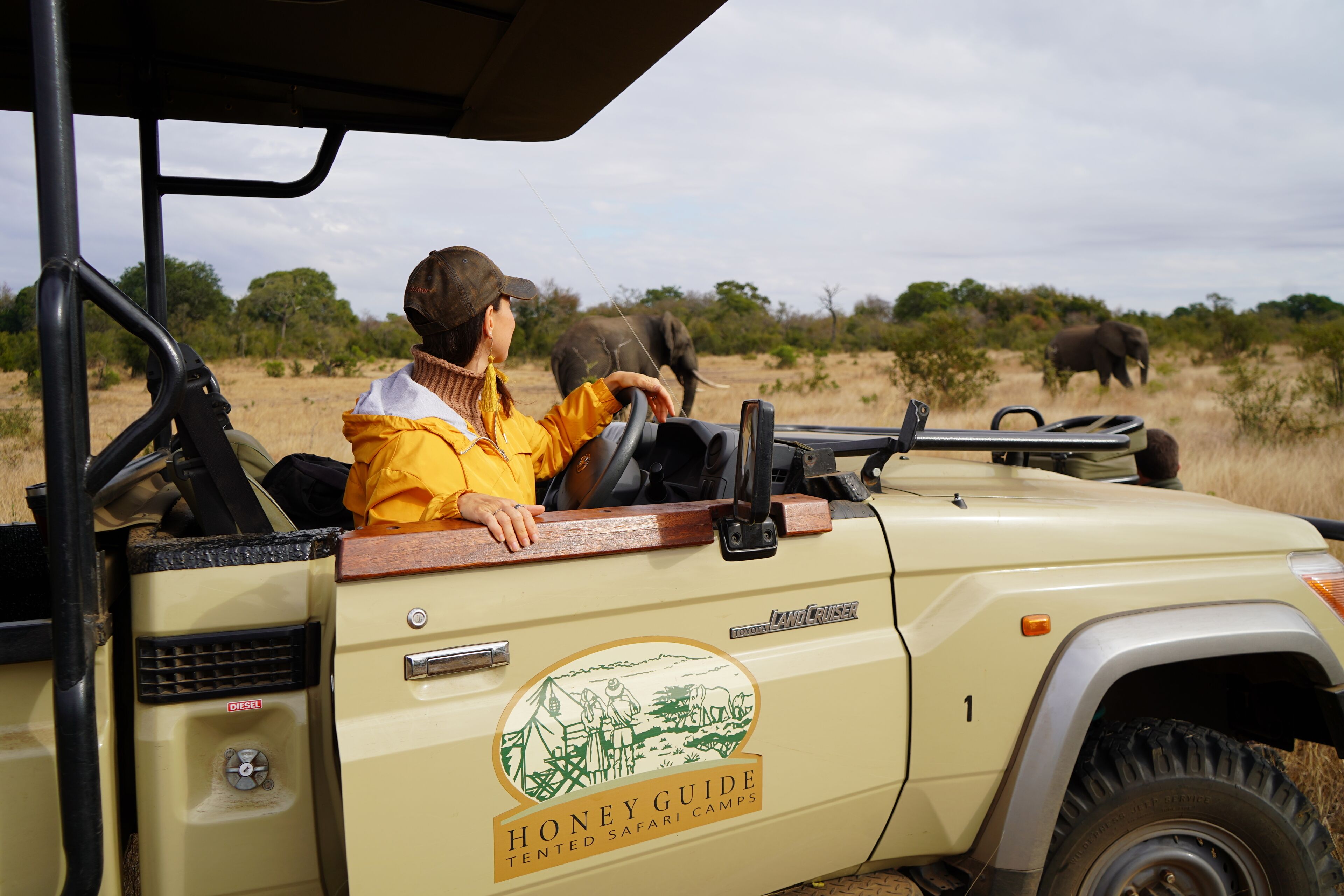 Un vehículo safari con el logotipo de Honey Guide Tented Safari Camps.