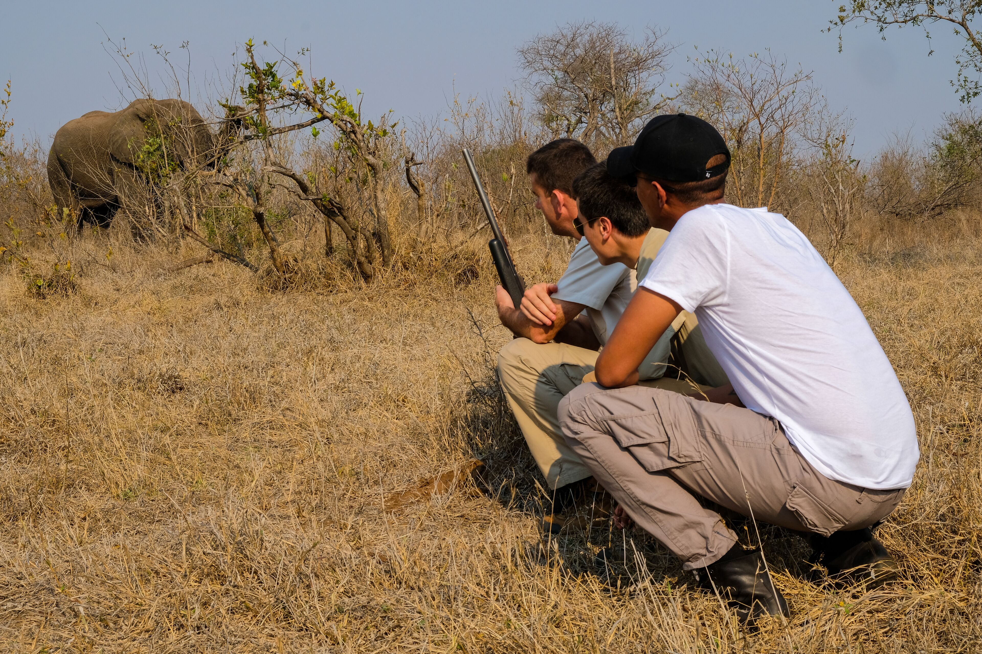 A group of people in a natural setting with dry grass and trees, observing an elephant in the distance.