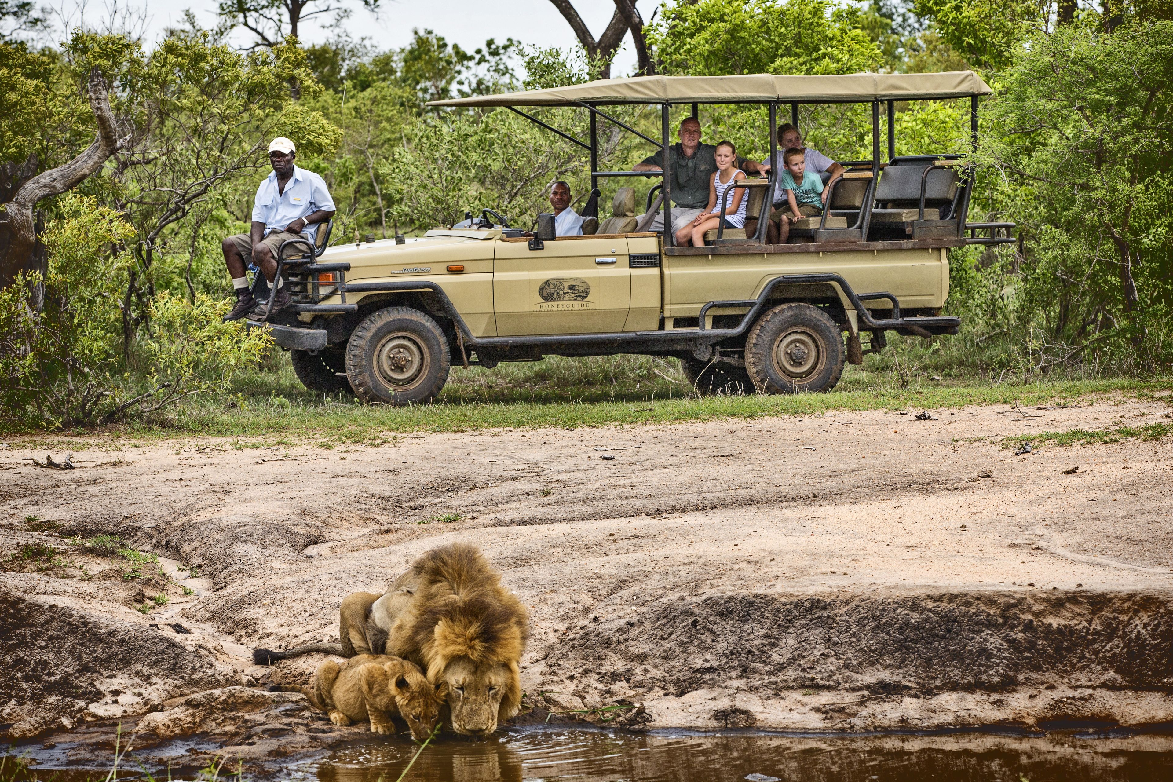 Un véhicule de safari transportant des passagers qui observent la faune sauvage près d’un point d’eau.