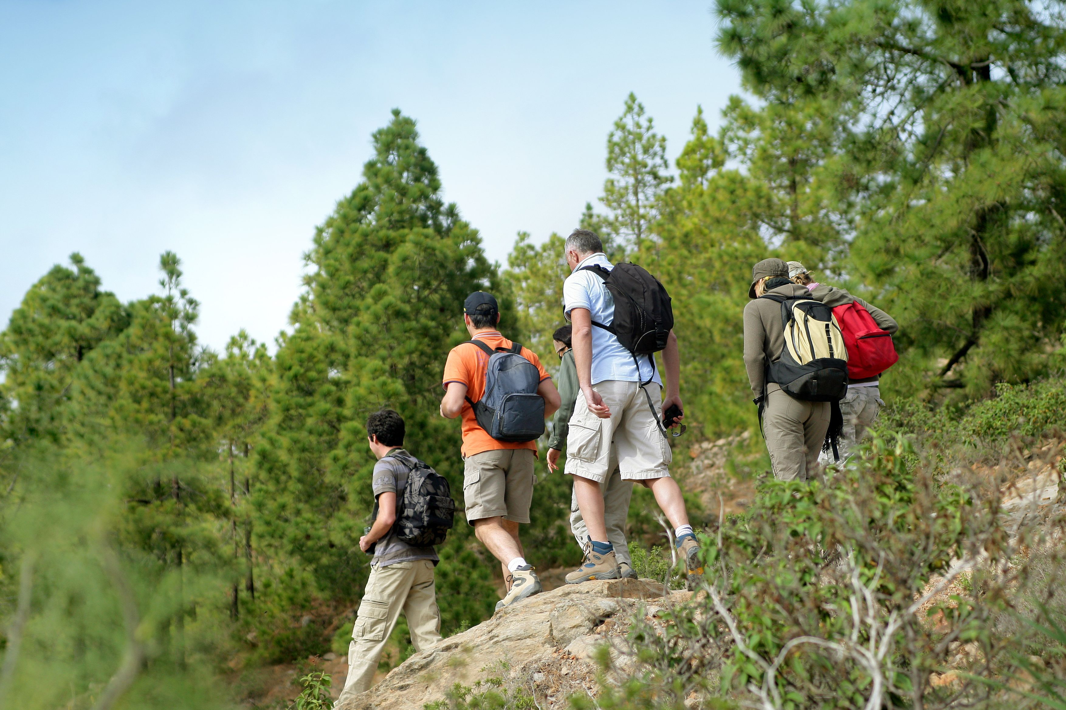 Un grupo de excursionistas en un sendero rocoso rodeado de vegetación densa.
