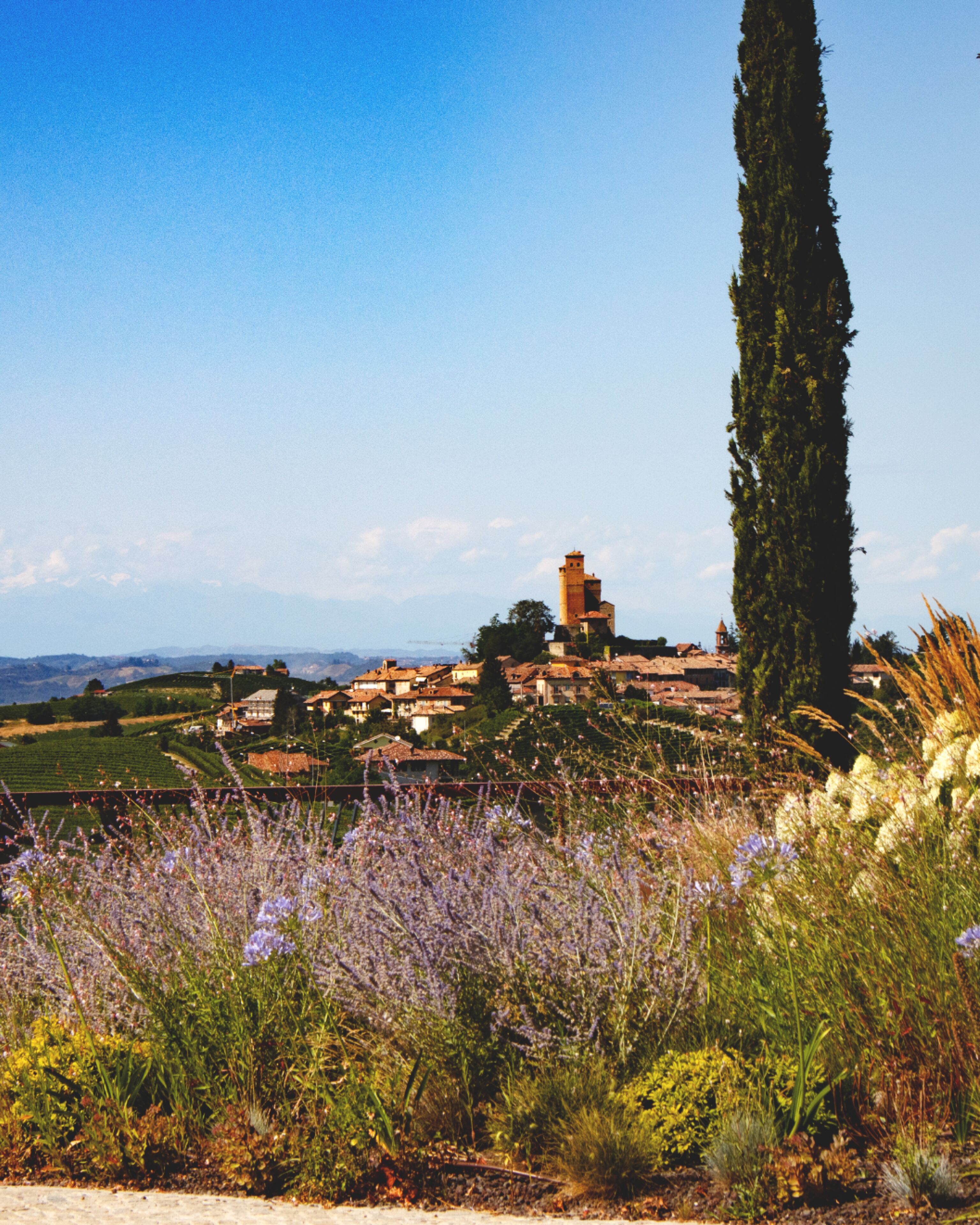 A rural village with traditional buildings, a prominent tower, and a tall cypress tree.