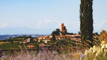 A rural village with traditional buildings, a prominent tower, and a tall cypress tree.