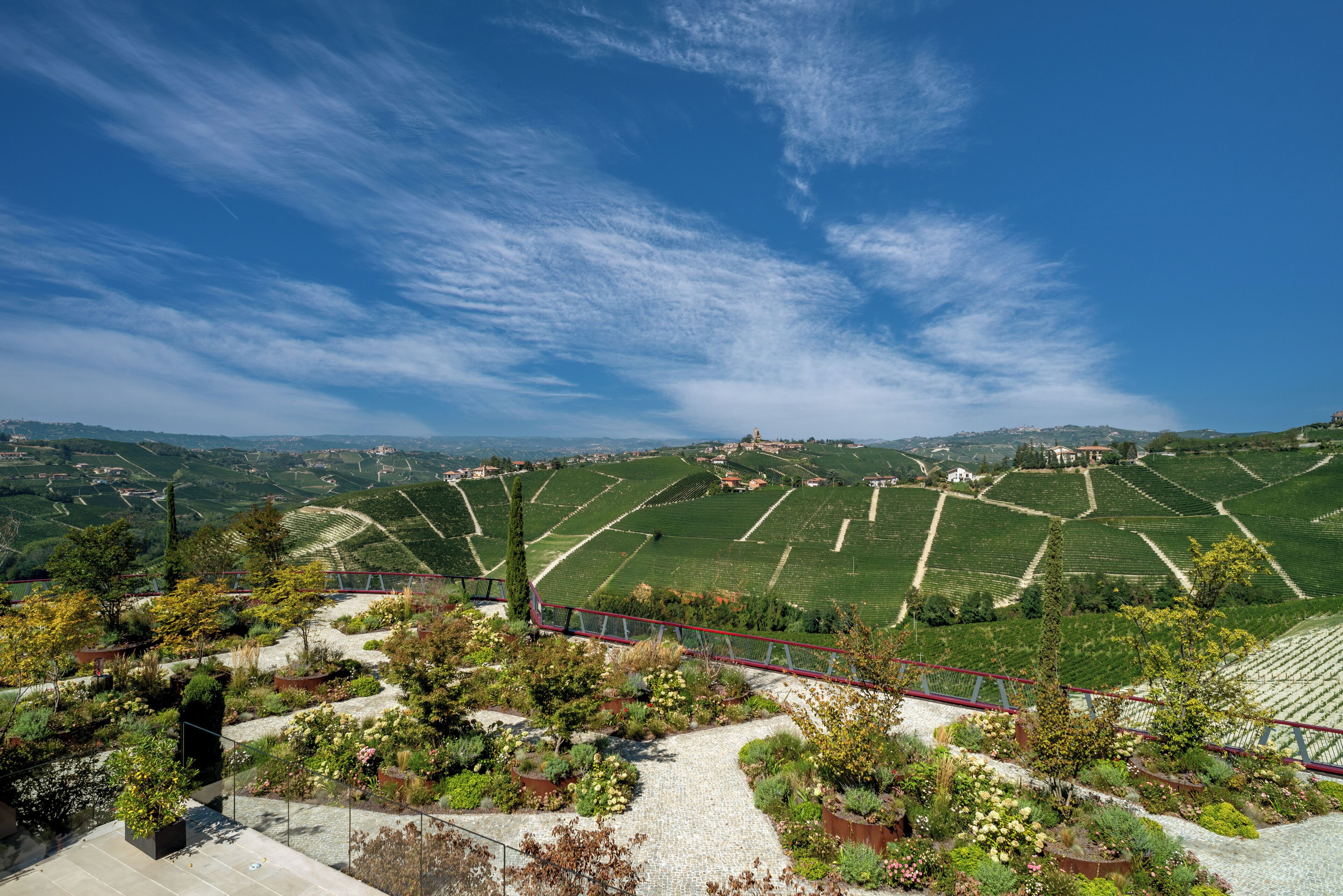 A vineyard with terraced fields and a red pathway.
