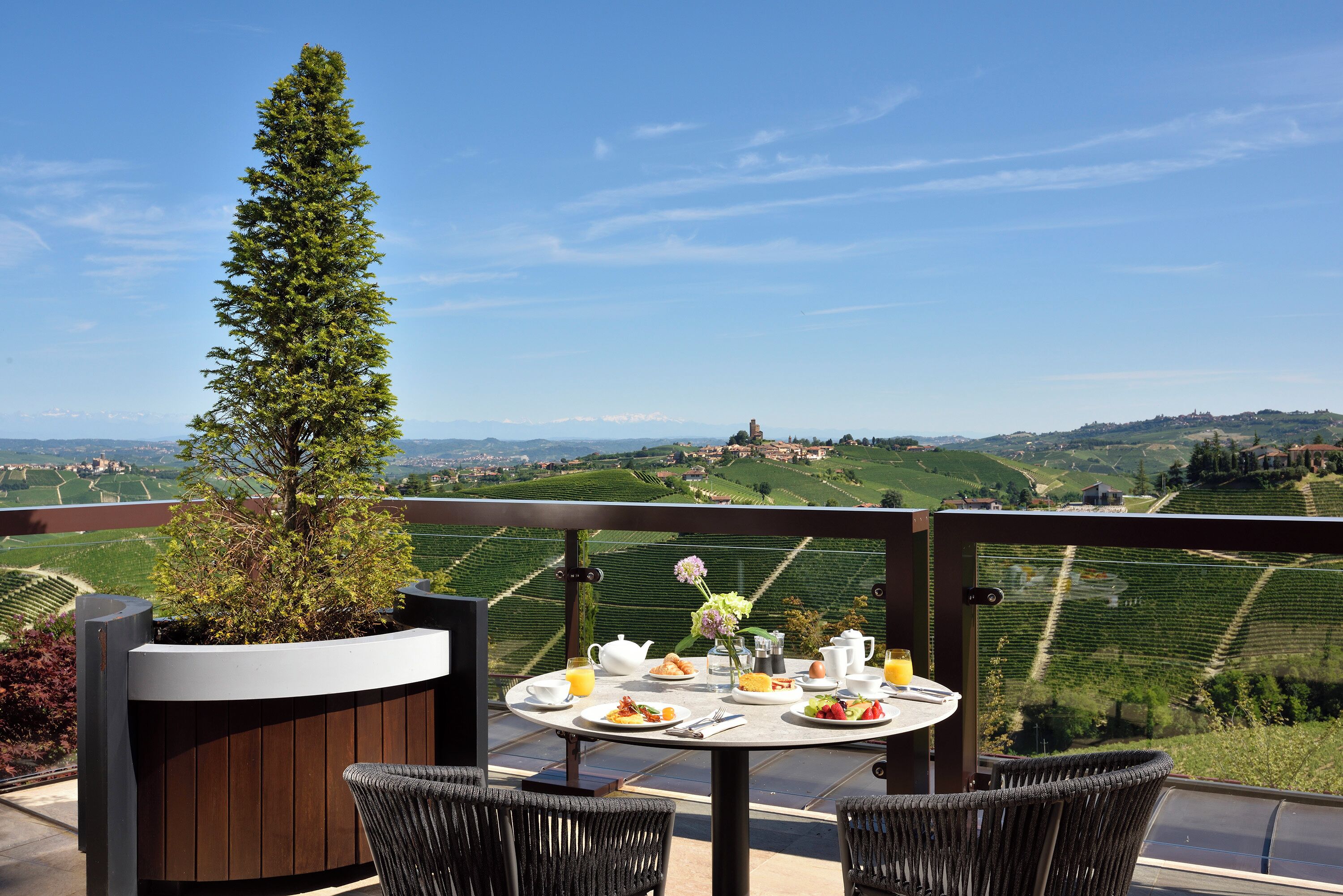 Una terraza con mesa lista para el desayuno, con vistas a un viñedo.