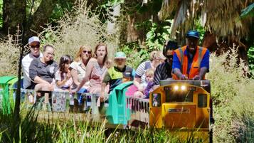 A small train with passengers, surrounded by greenery.