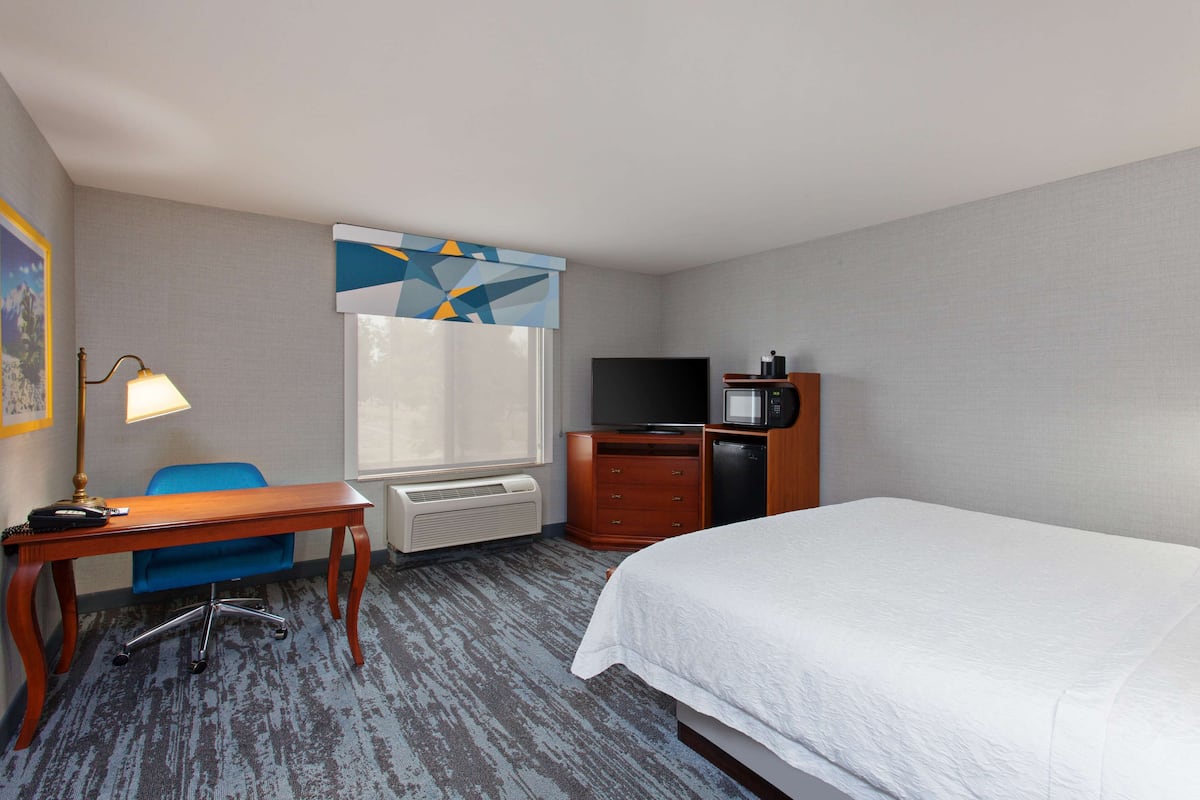 A hotel room with a bed, a desk, a chair, a television, and a microwave.