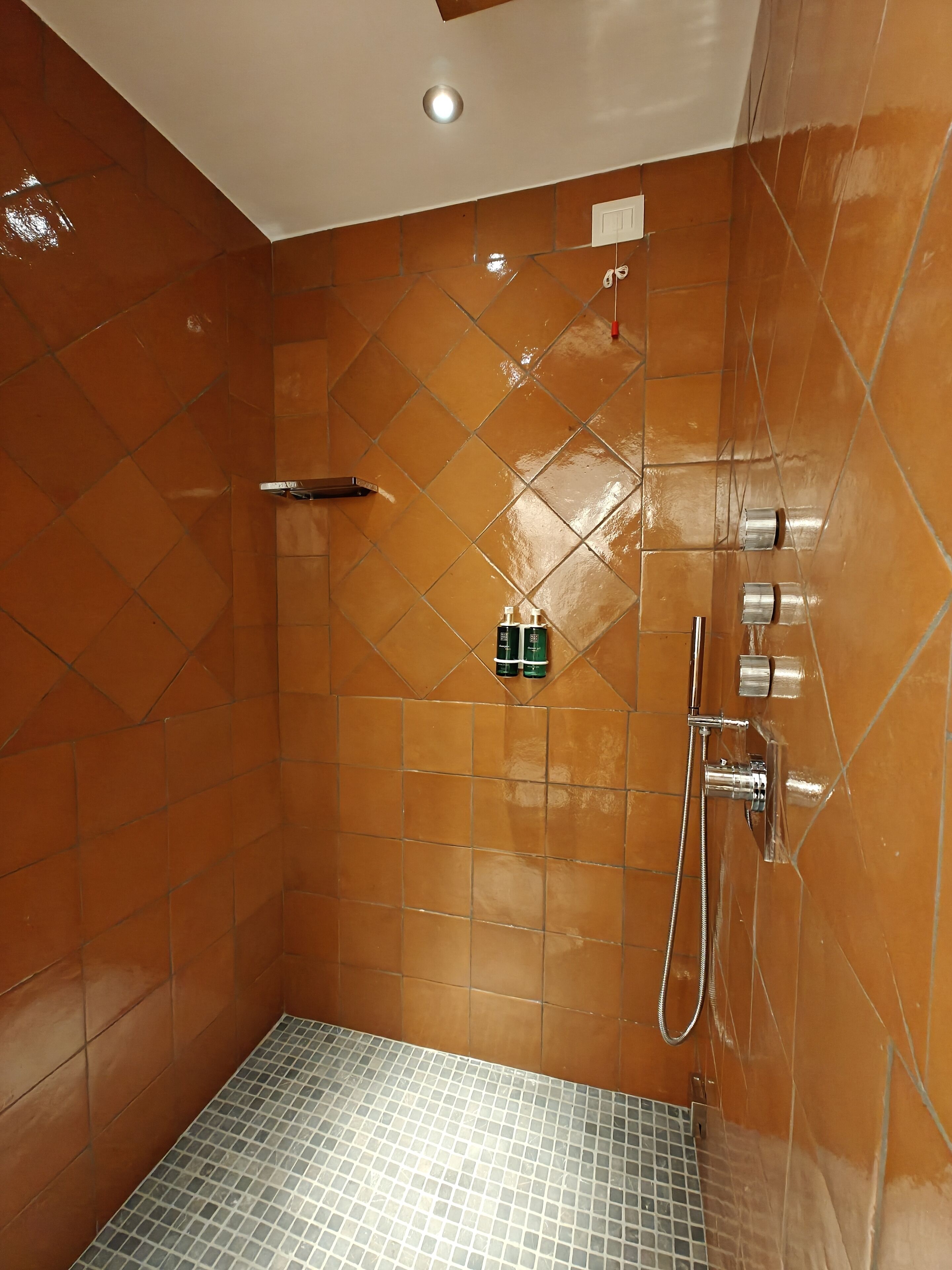 A shower area with tiled walls and floor, a handheld showerhead, and a wall-mounted faucet.