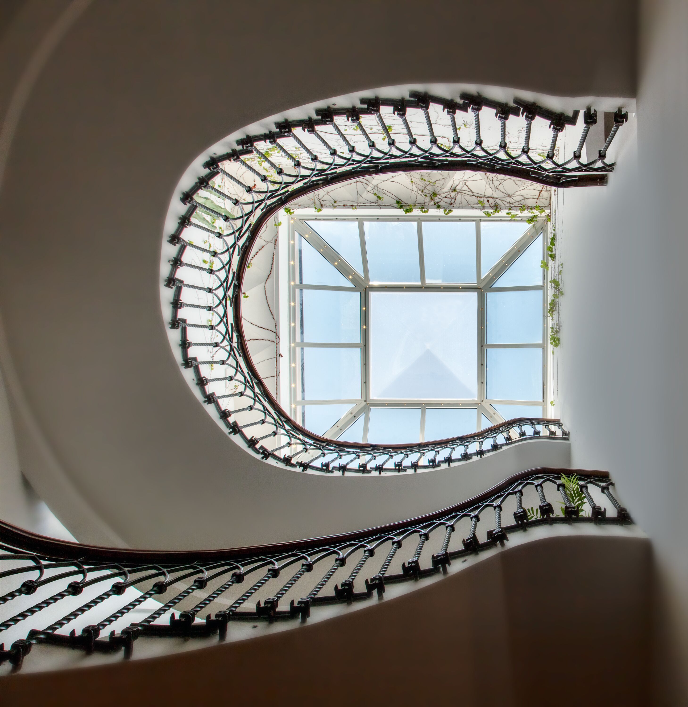 Uma escadaria em espiral com um claraboia.