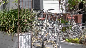 Varias bicicletas están aparcadas en un soporte metálico, con un edificio al fondo.