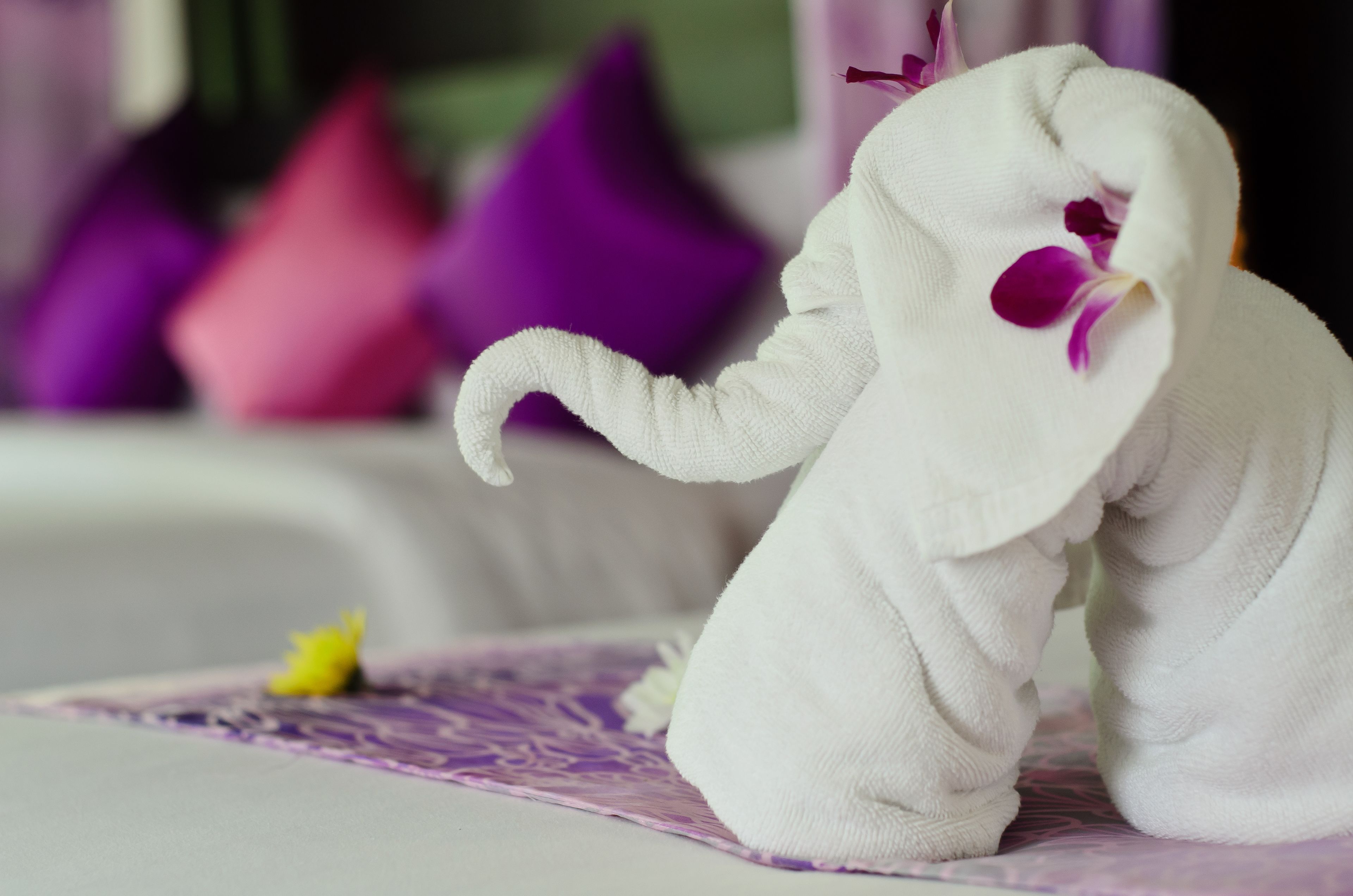 1 bedroom, down duvets, individually decorated, individually furnished