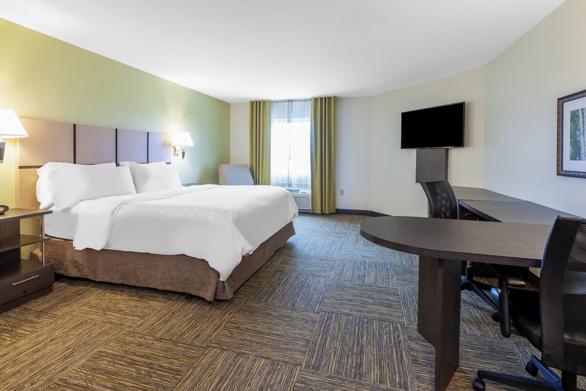 A hotel room with a bed, a desk, a chair, a TV, and a window with curtains.
