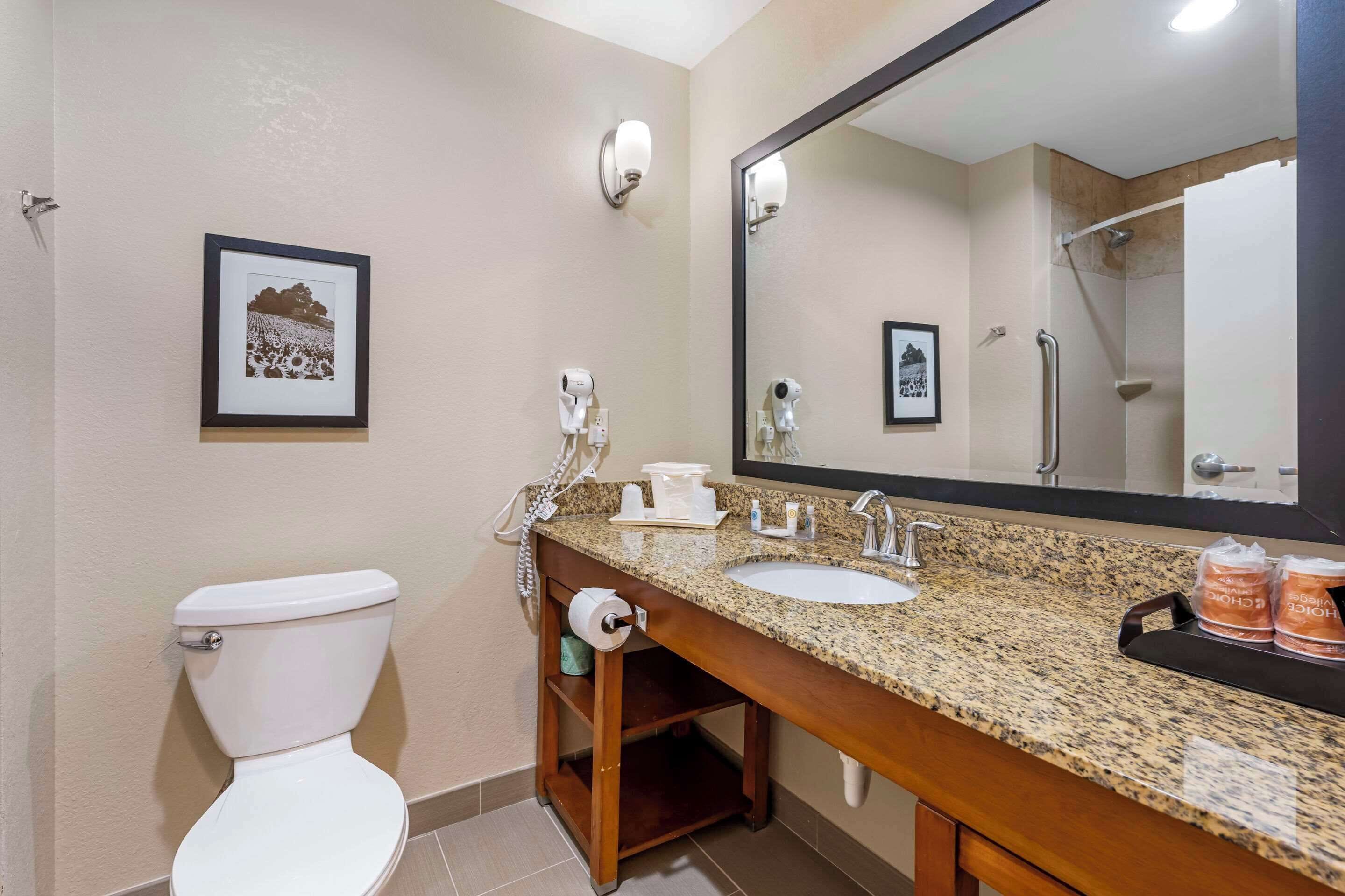 suite, 1 king bed with sofa bed, non smoking | bathroom | free toiletries, hair dryer, towels