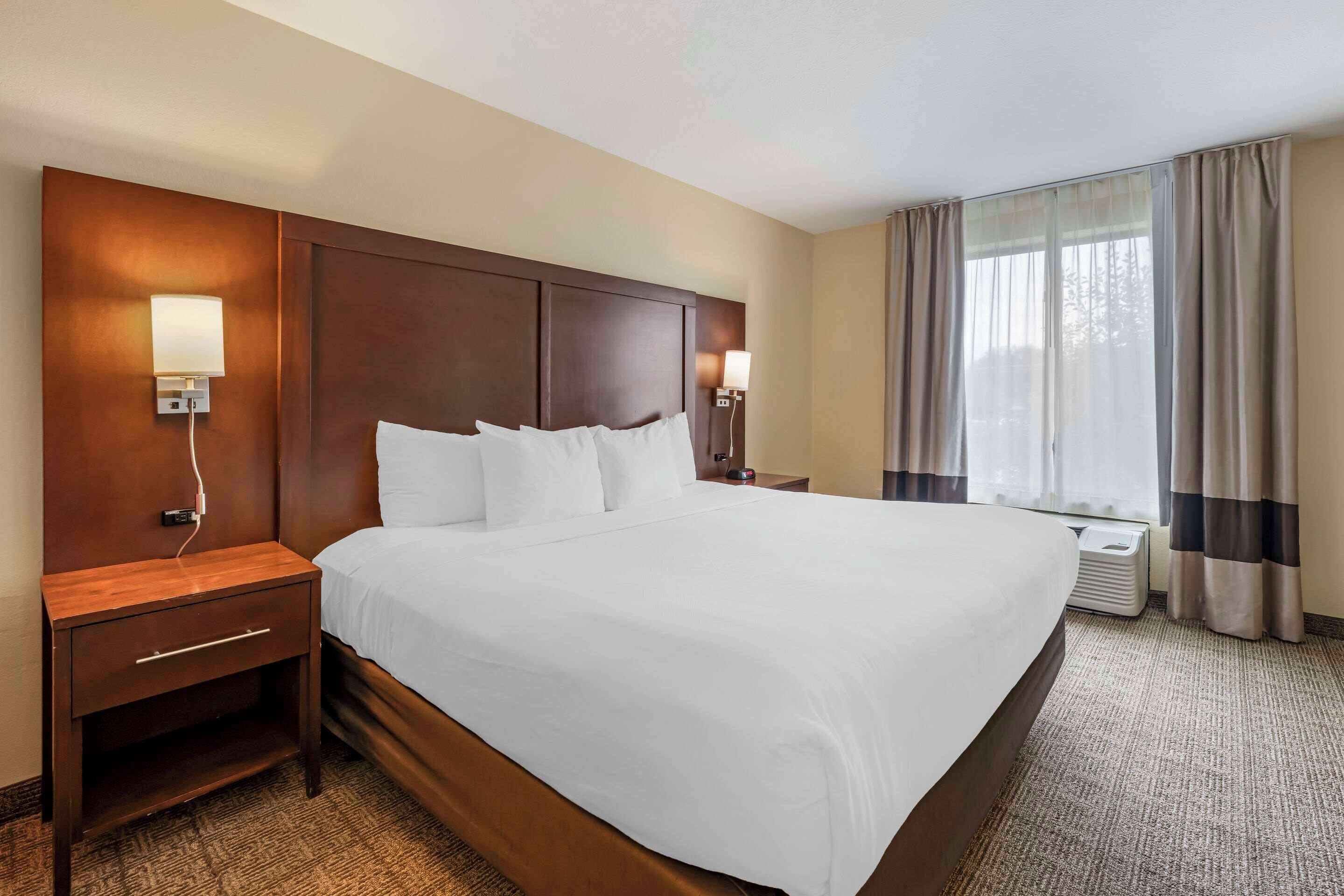 comfort suite, 1 king bed with sofa bed, non smoking | hypo-allergenic bedding, desk, laptop workspace, blackout curtains