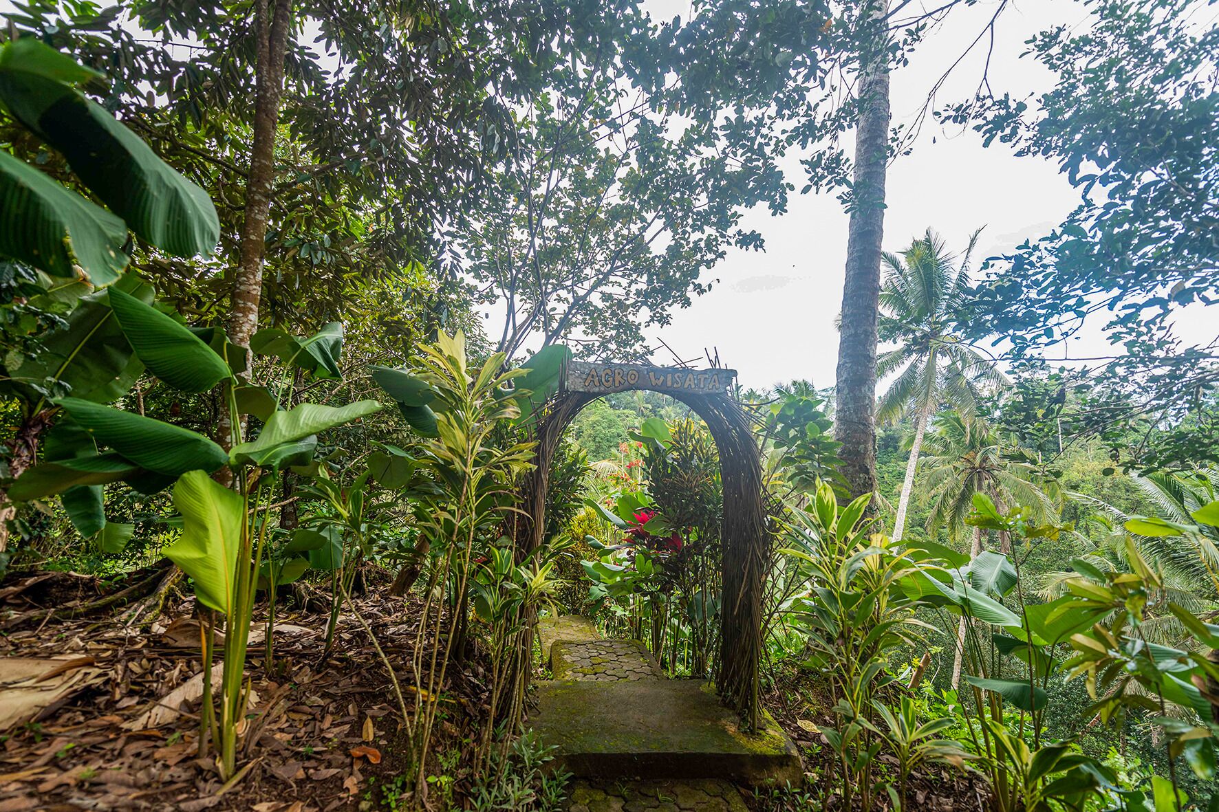 Un sendero verde y exuberante que serpentea entre una vegetación densa, con un arco de piedra rústica.