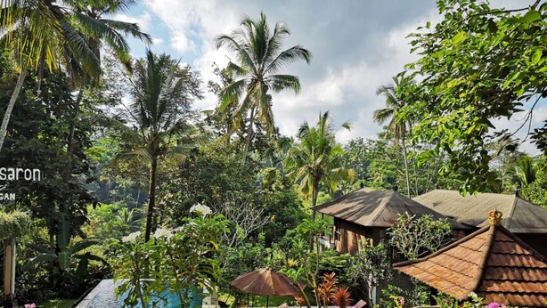 Un complexe hôtelier tropical doté d’une piscine, d’une végétation luxuriante et d’une structure traditionnelle à toit de chaume.