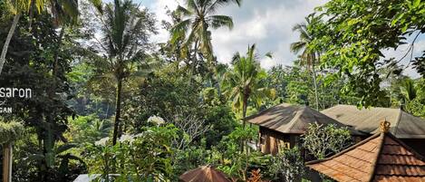 4 outdoor pools, sun loungers