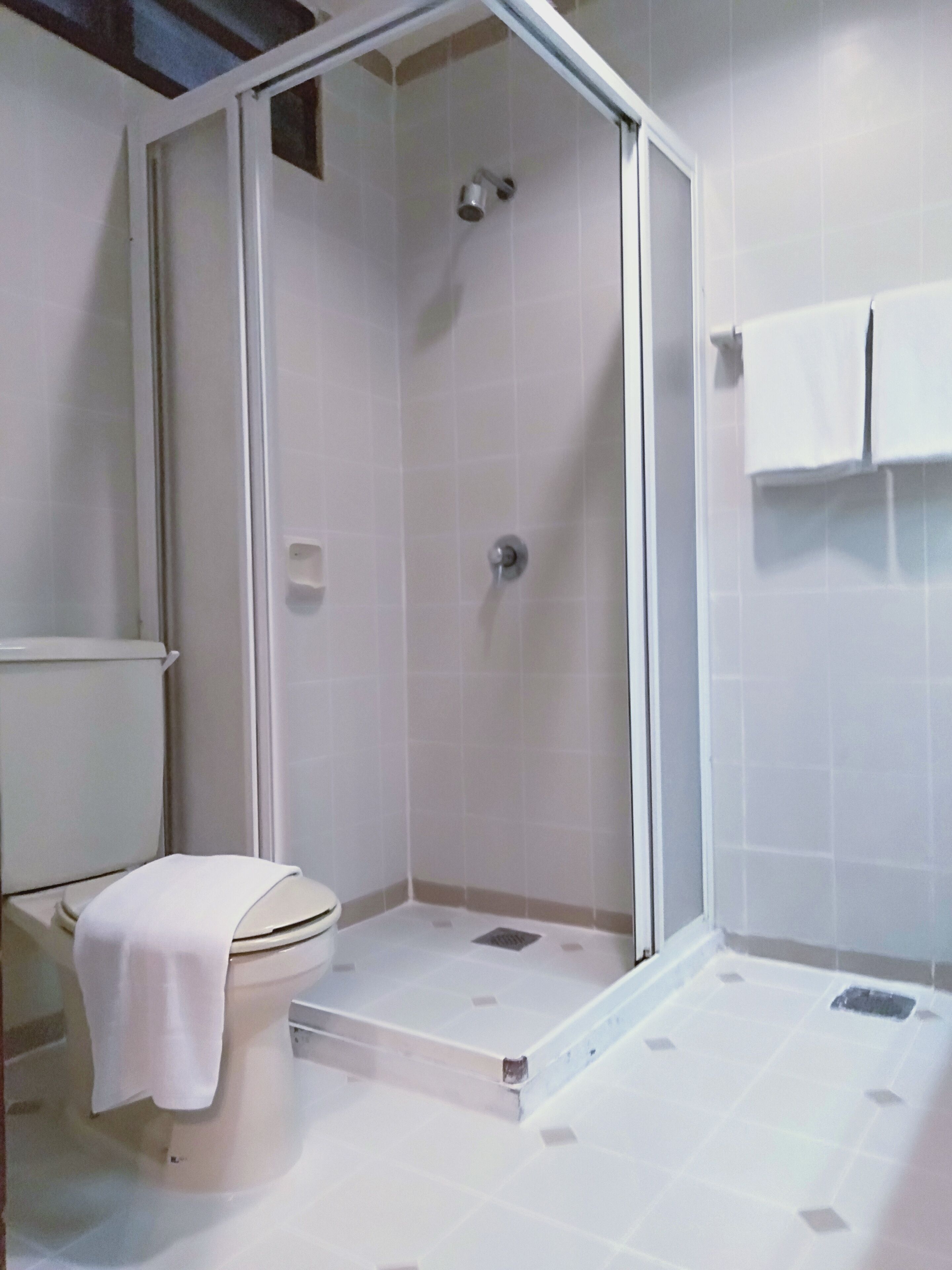 A bathroom with a shower, toilet, and a towel rack.