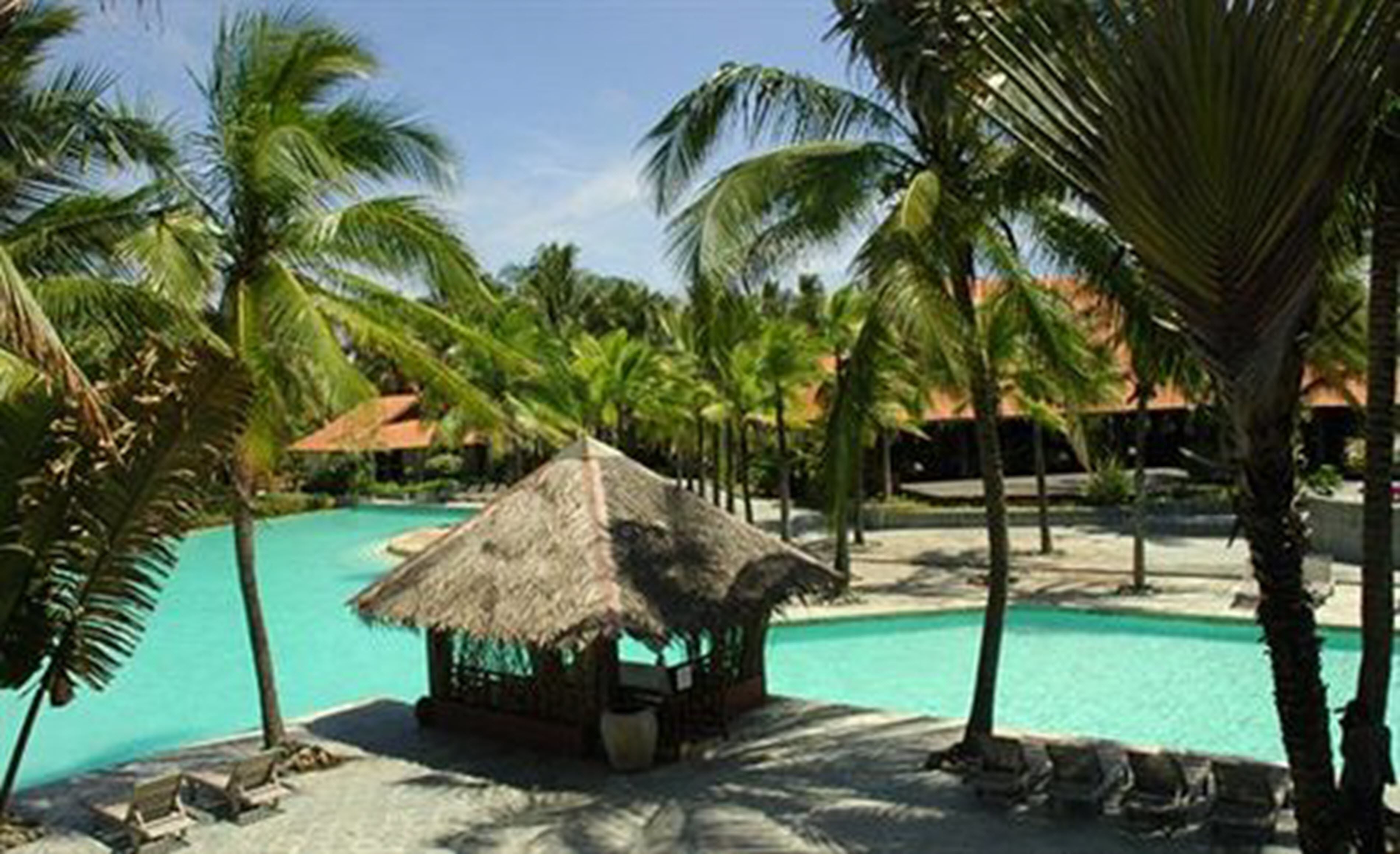 A tropical resort with a clear pool, palm trees, and a thatched-roof hut.
