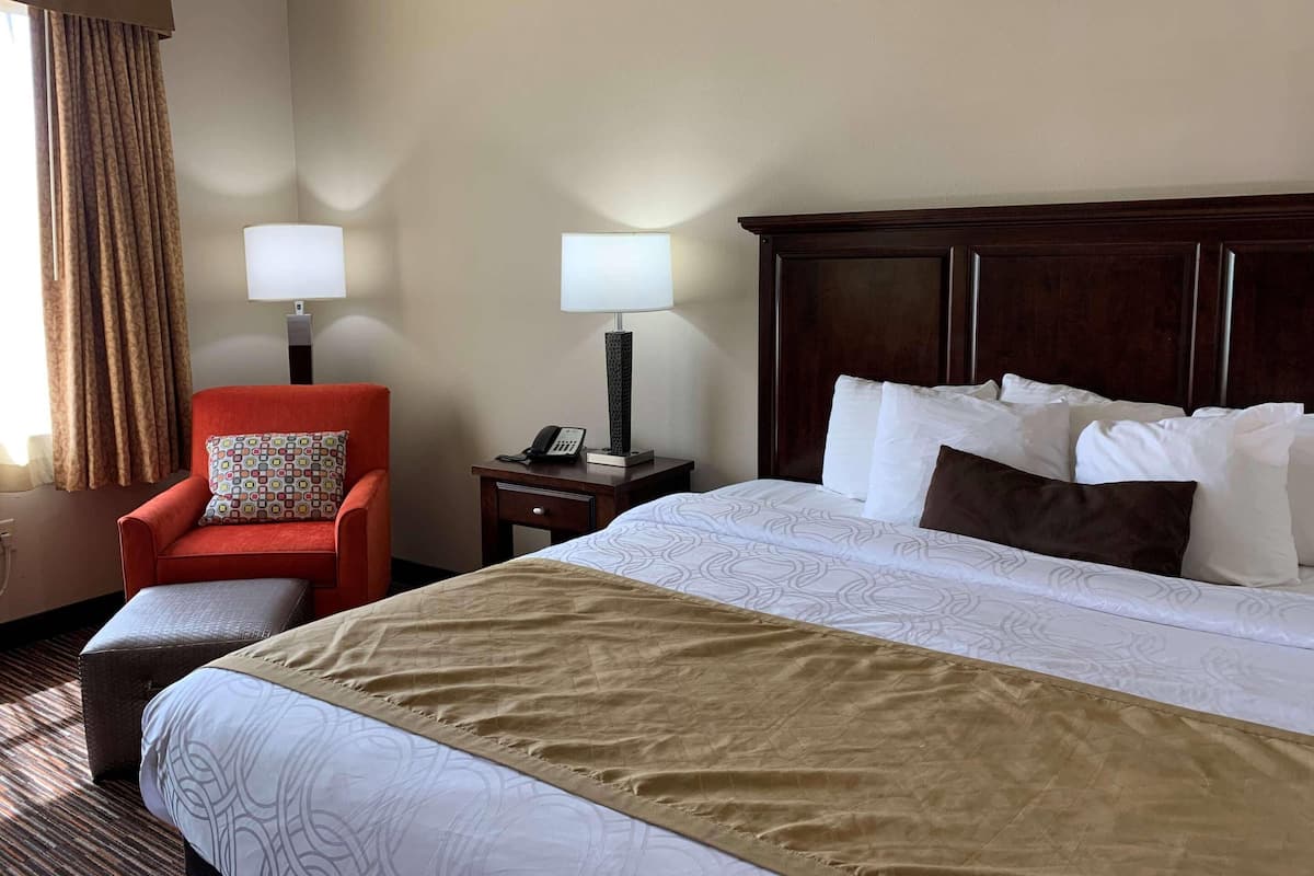 1 soveværelse, mørklægningsgardiner, strygejern/strygebræt