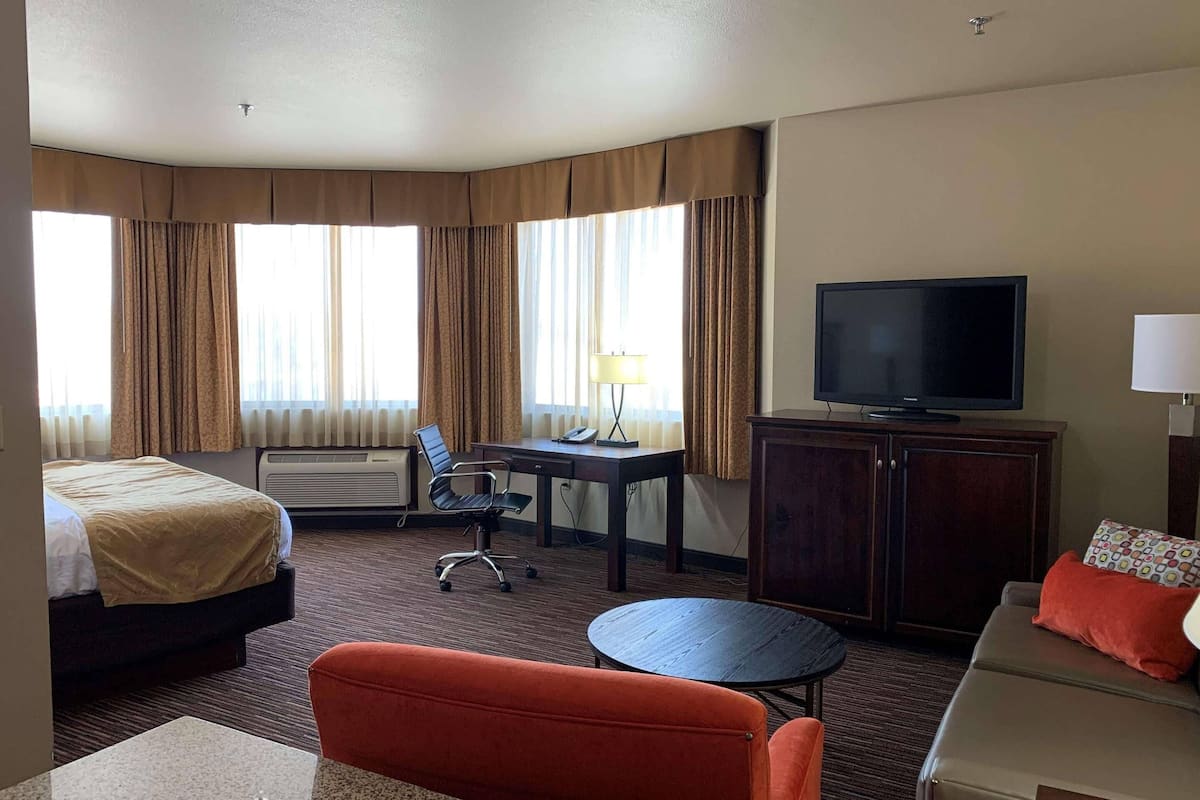 1 間睡房、遮光窗簾/窗簾、熨斗/熨衫板、免費嬰兒床